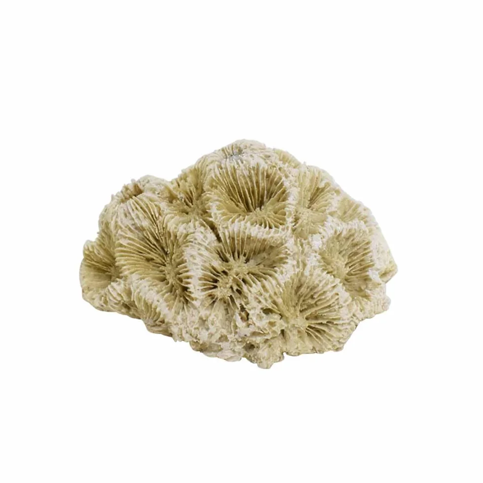 Nobby Aqua Ornaments Corail 6,8 x 6,3 x 4 cm