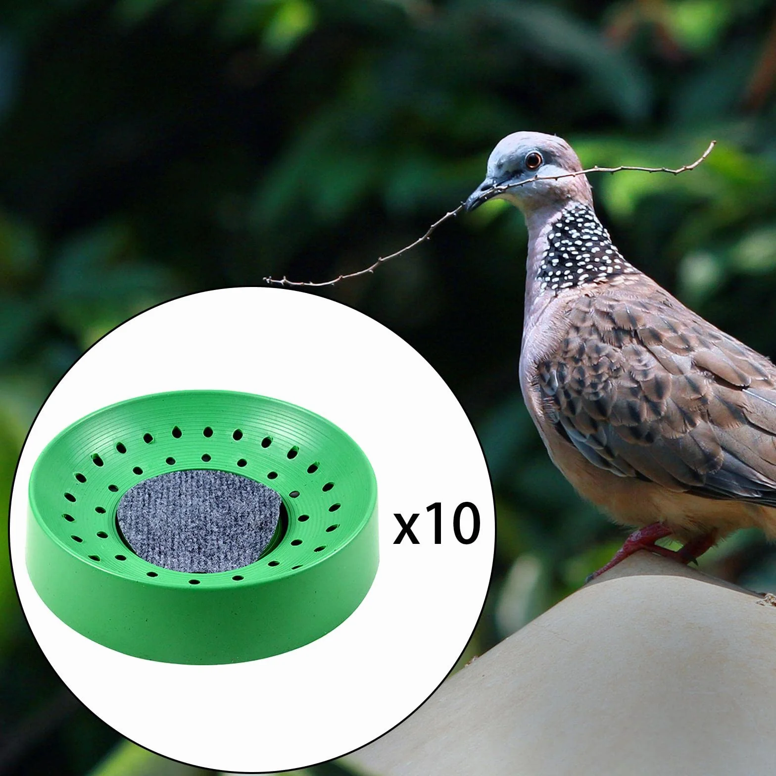 Nid Pigeon Plastique 10 Pièces Fournitures Élevage