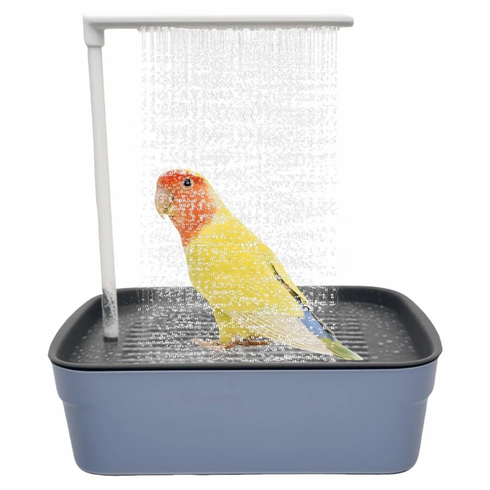 Baignoire Oiseaux Automatique Électrique avec Douche à Circulation Eau pour Perroquet