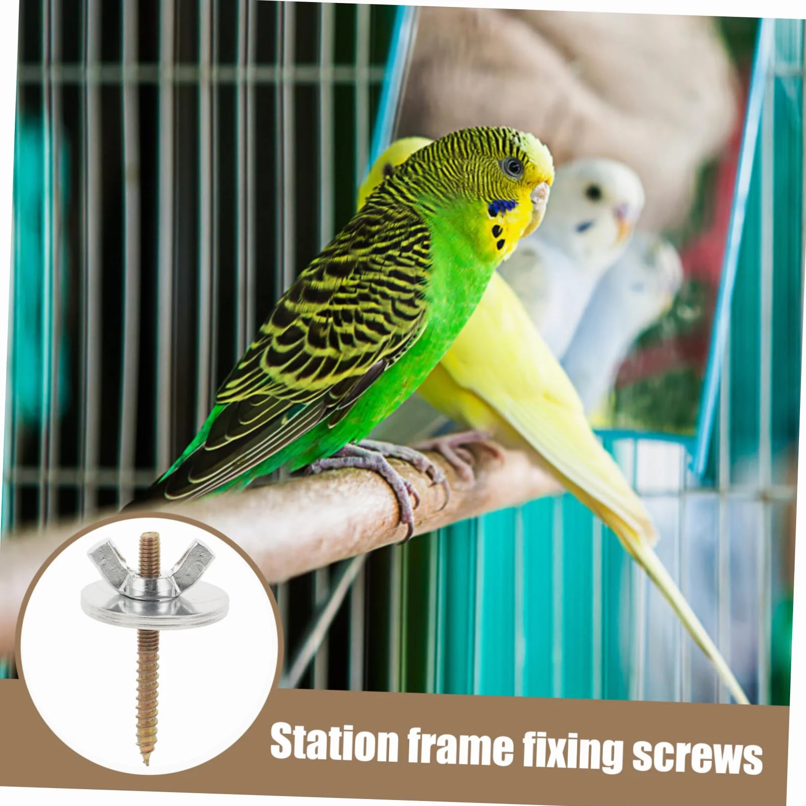 iplusmile 10 Ensembles Vis de Fixation pour Cage à Oiseaux avec Écrous et Rondelles