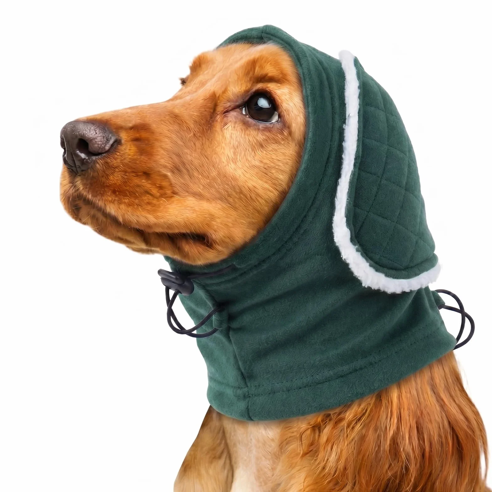 Protection Oreilles Chien Rembourrage Réglable Anti-Grattage Atténuation Bruit Vert XL