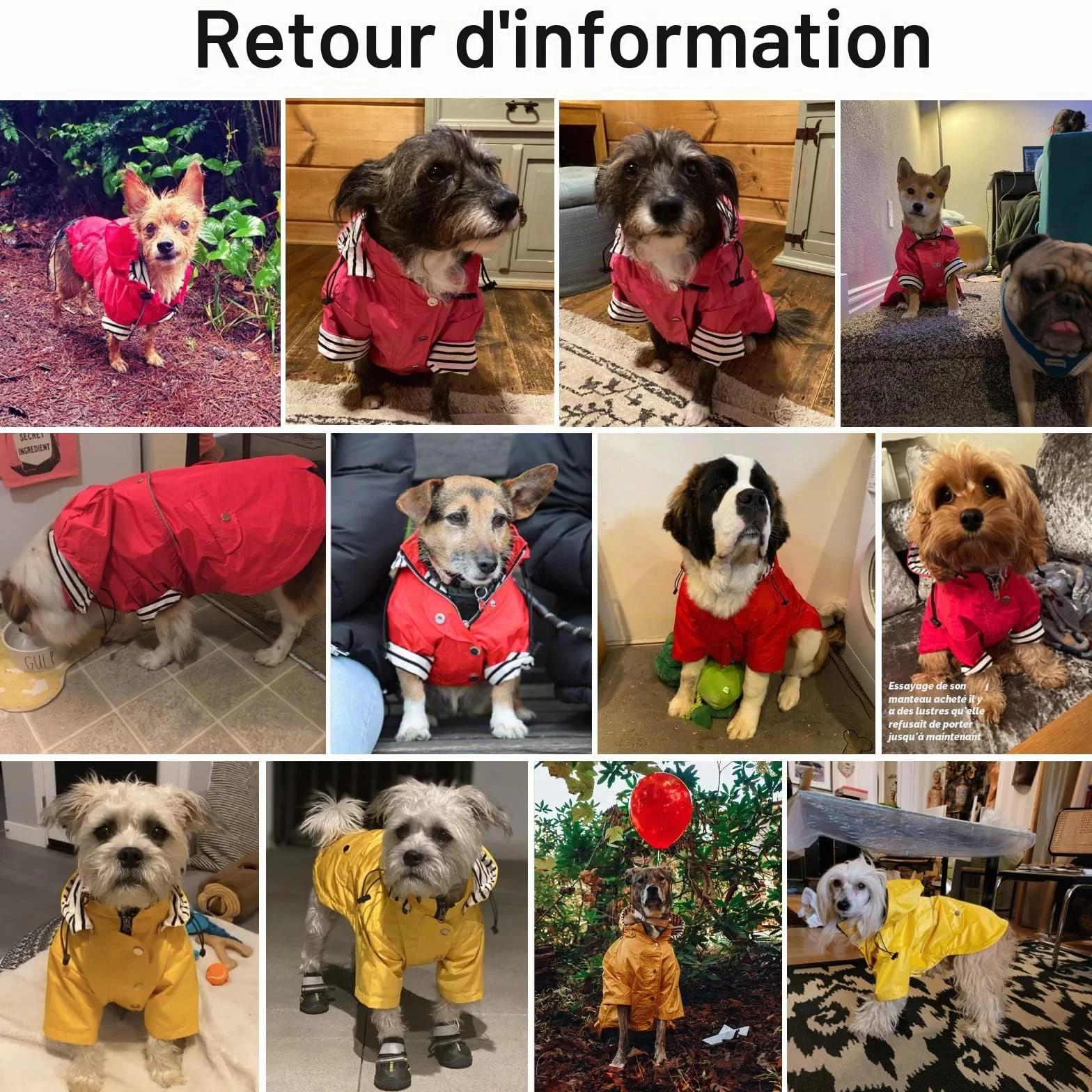 Manteaux imperméables pour Chien élégants, résistant Pluie, Capuche Amovible, Petite et Moyenne Chien Jaune