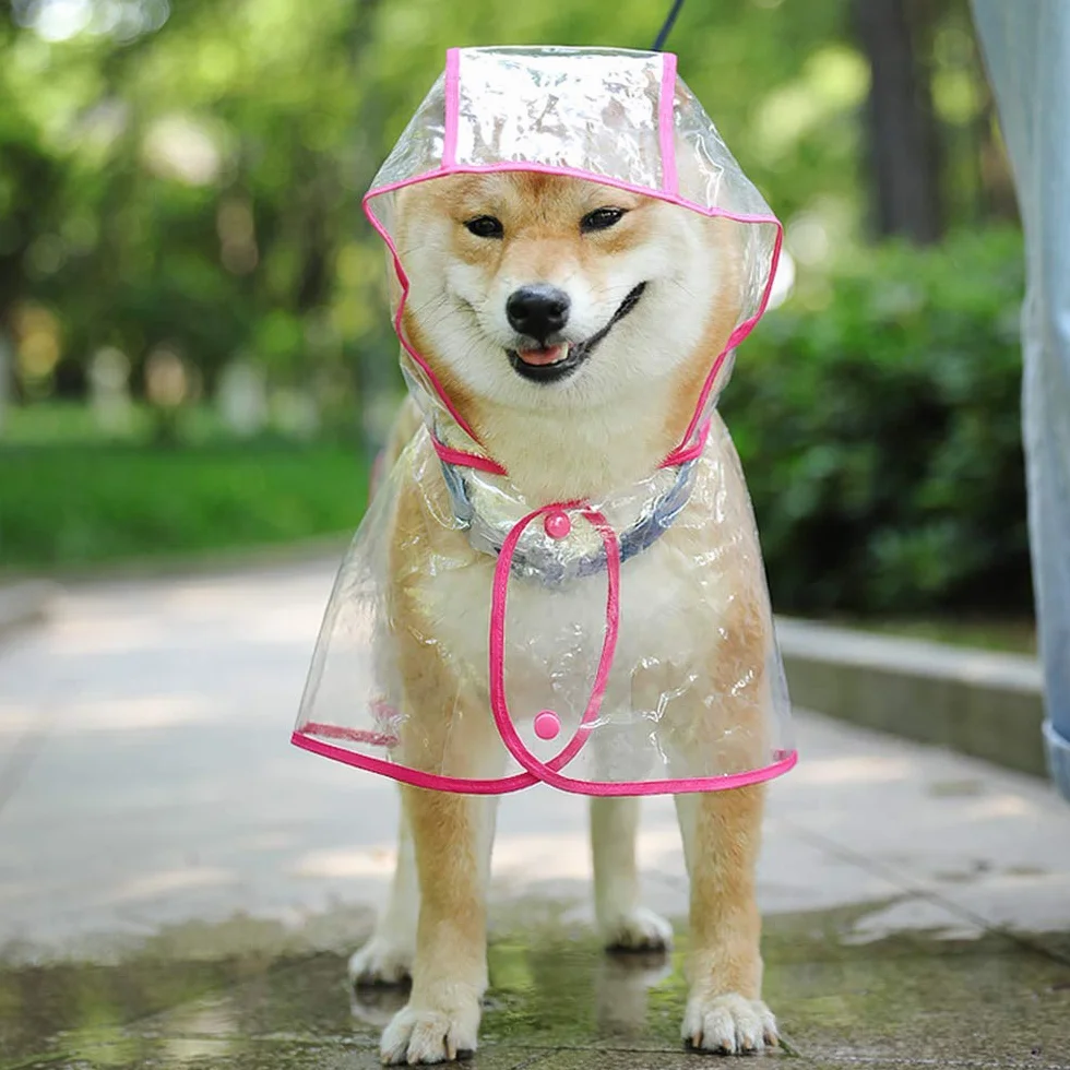 KoKoBin Manteau imperméable pour chiens et chats petite taille PVC transparent capuche réglable
