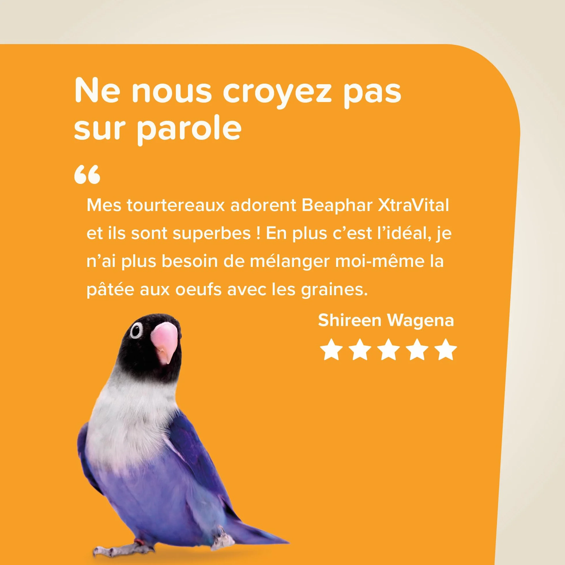 Beaphar XTRAVITAL Alimentation Premium Oiseaux Exotiques 500g