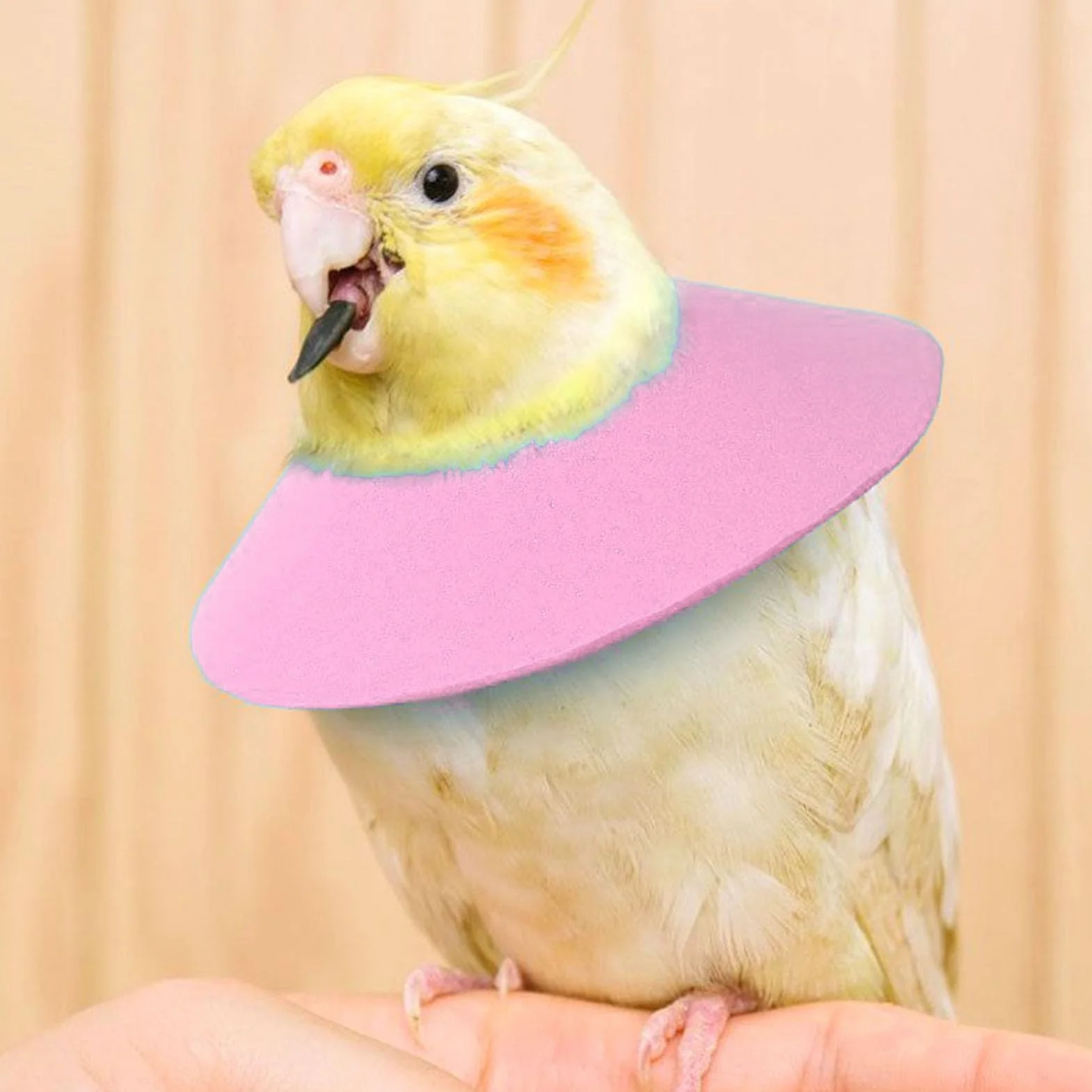 Collier de protection pour hamster - Collier de protection pour perruche - Collier anti-morsure pour petits animaux - Prévention de la chute des poils - Pour chat, furet, perruche, souris