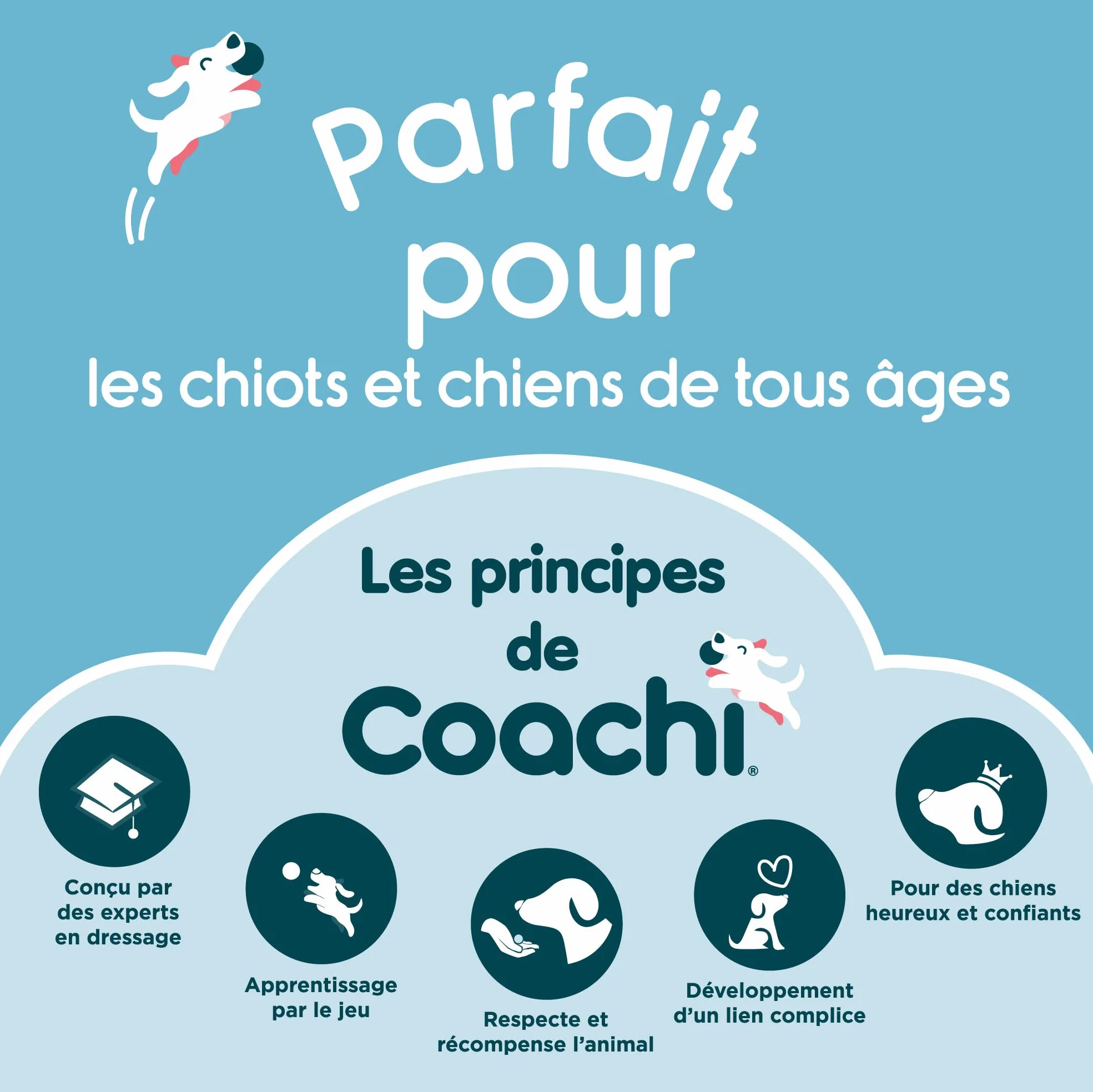 Coachi Multi-Clicker, Accessoire pour Chien, contrôle du Volume à 3 réglages, Facile à cliquer