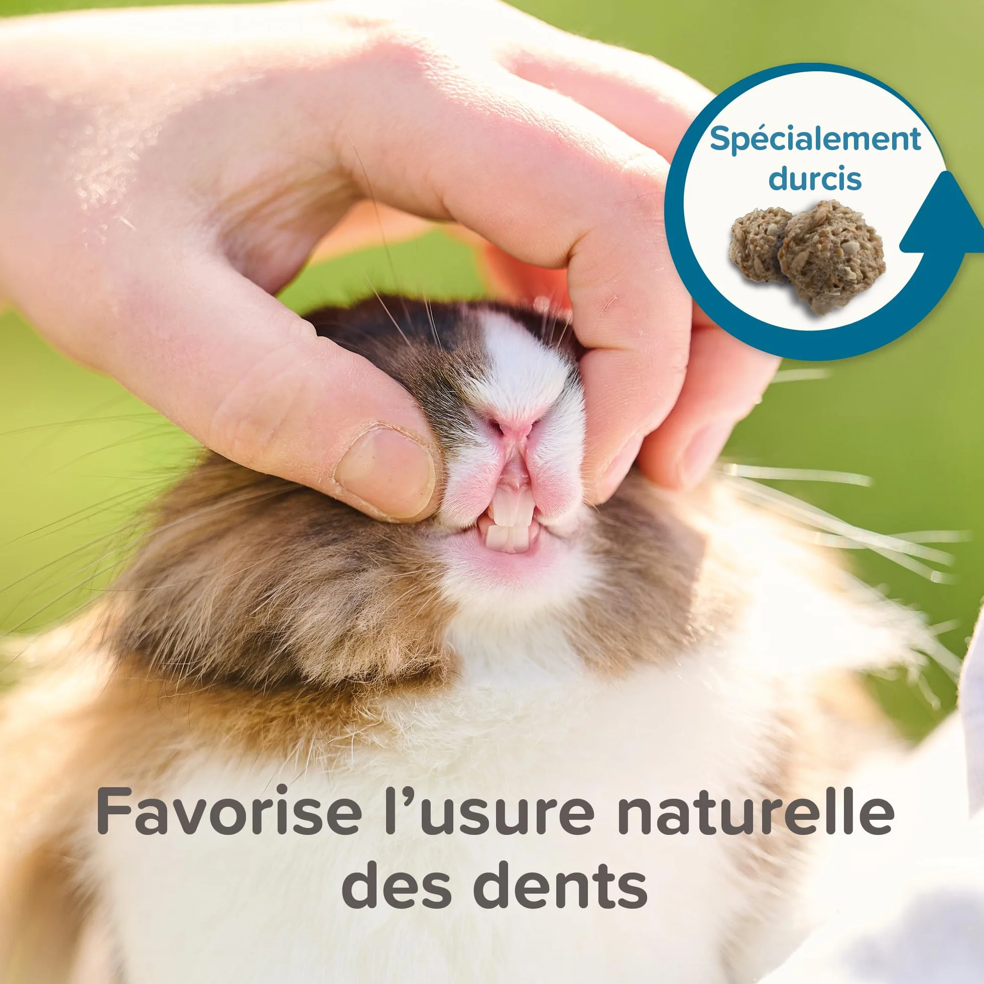 BEAPHAR Care+ Alimentation Super Premium extrudée pour Lapin Junior 25% Fibres 1.5 kg