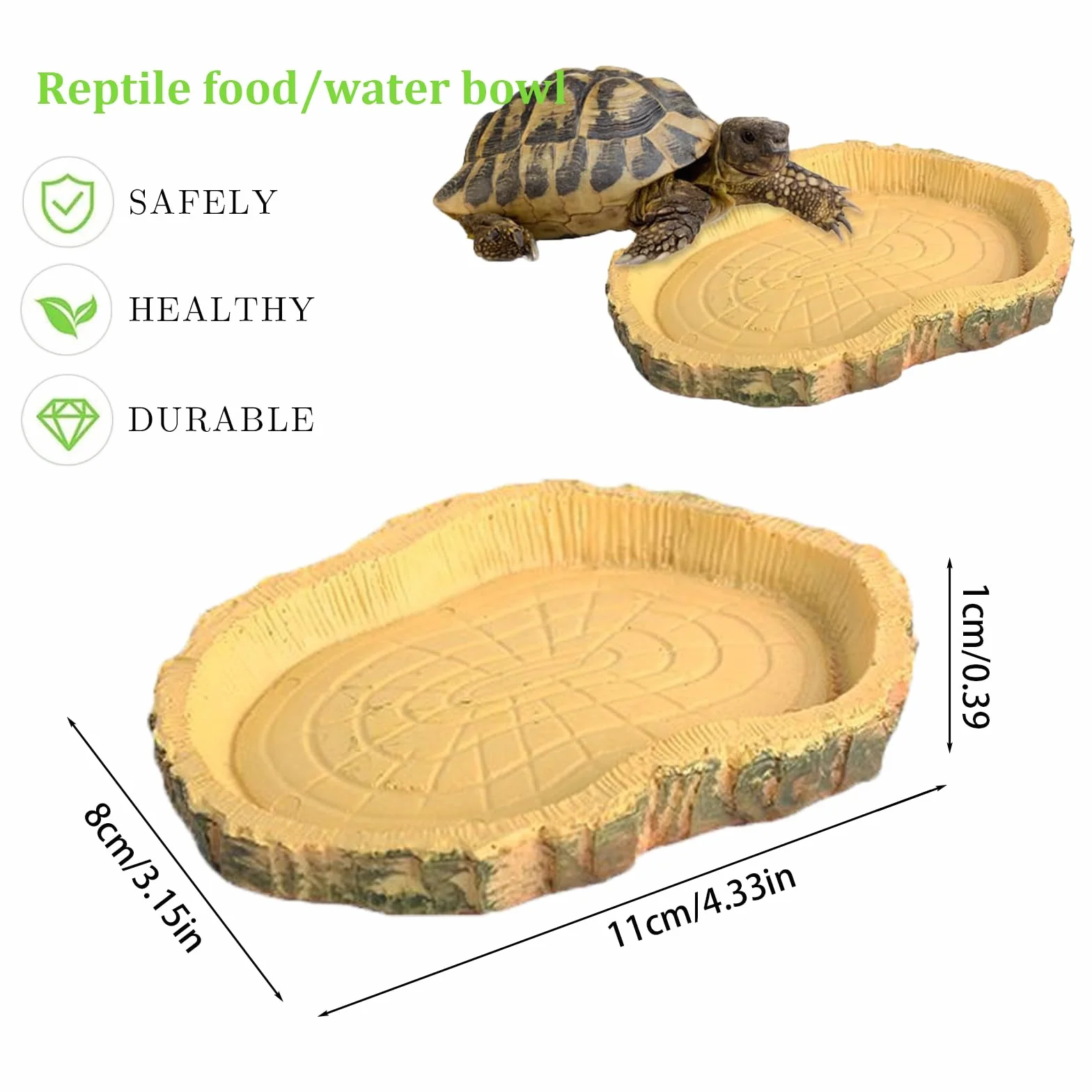 Gamelle Tortue Terrestre Nature Bol d'eau pour Reptiles Intéressant