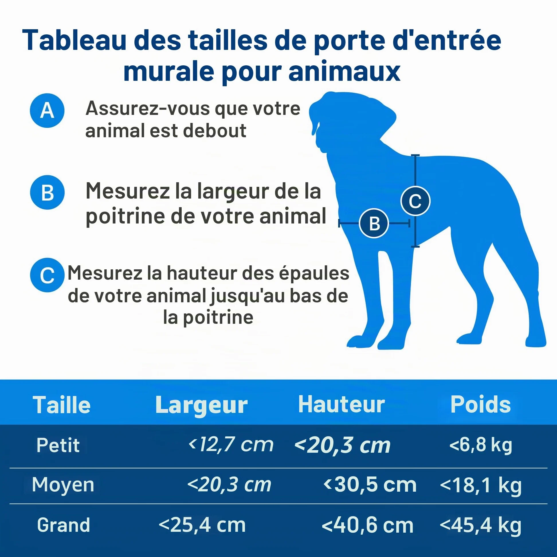 PetSafe Porte Murale pour Animal Domestique avec Tunnel télescopique, Grand, 3,58302 kg
