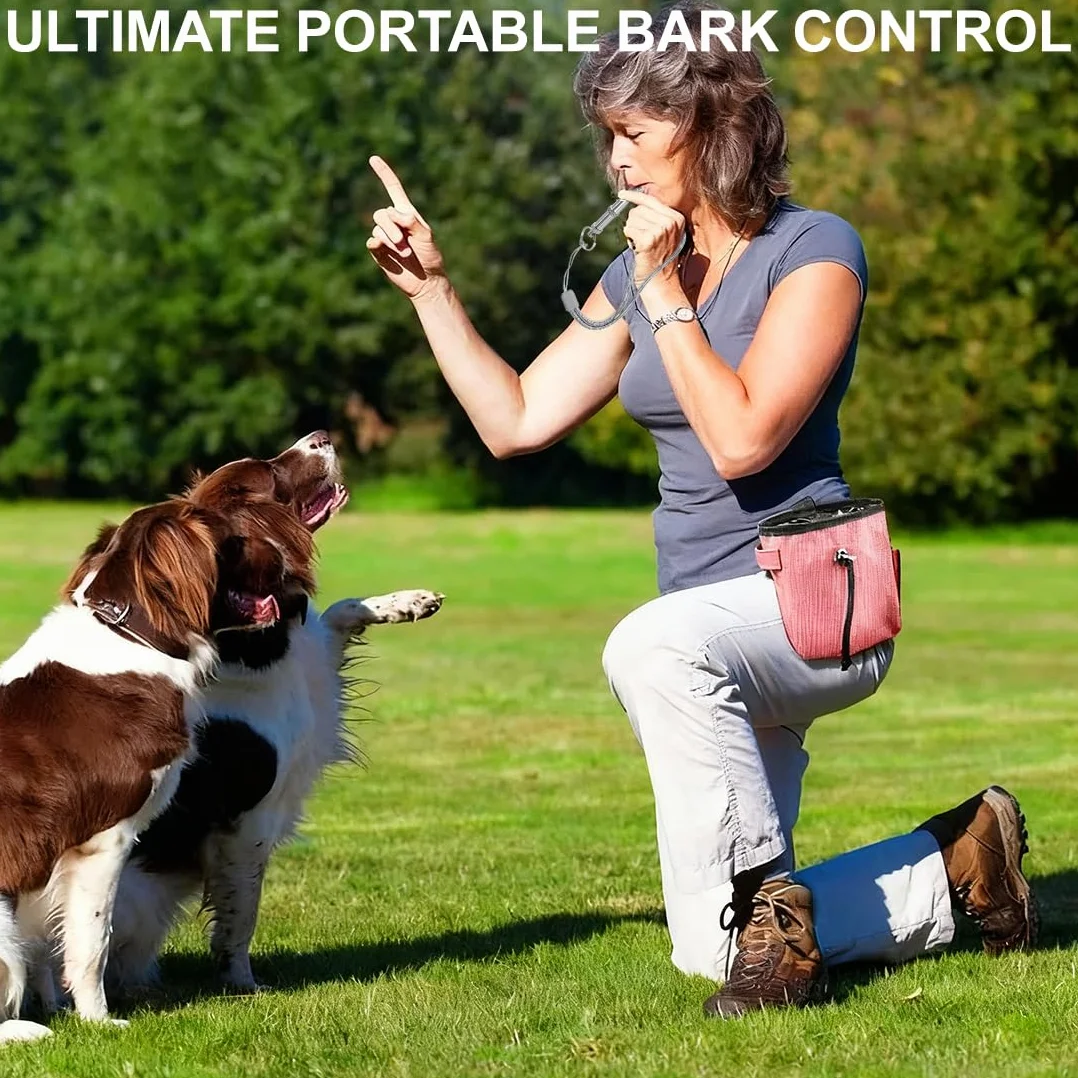 Sifflet pour Chien en Acier Inoxydable à fréquence réglable, Sifflet à ultrasons Professionnel pour l'entraînement et contrôle des aboiements