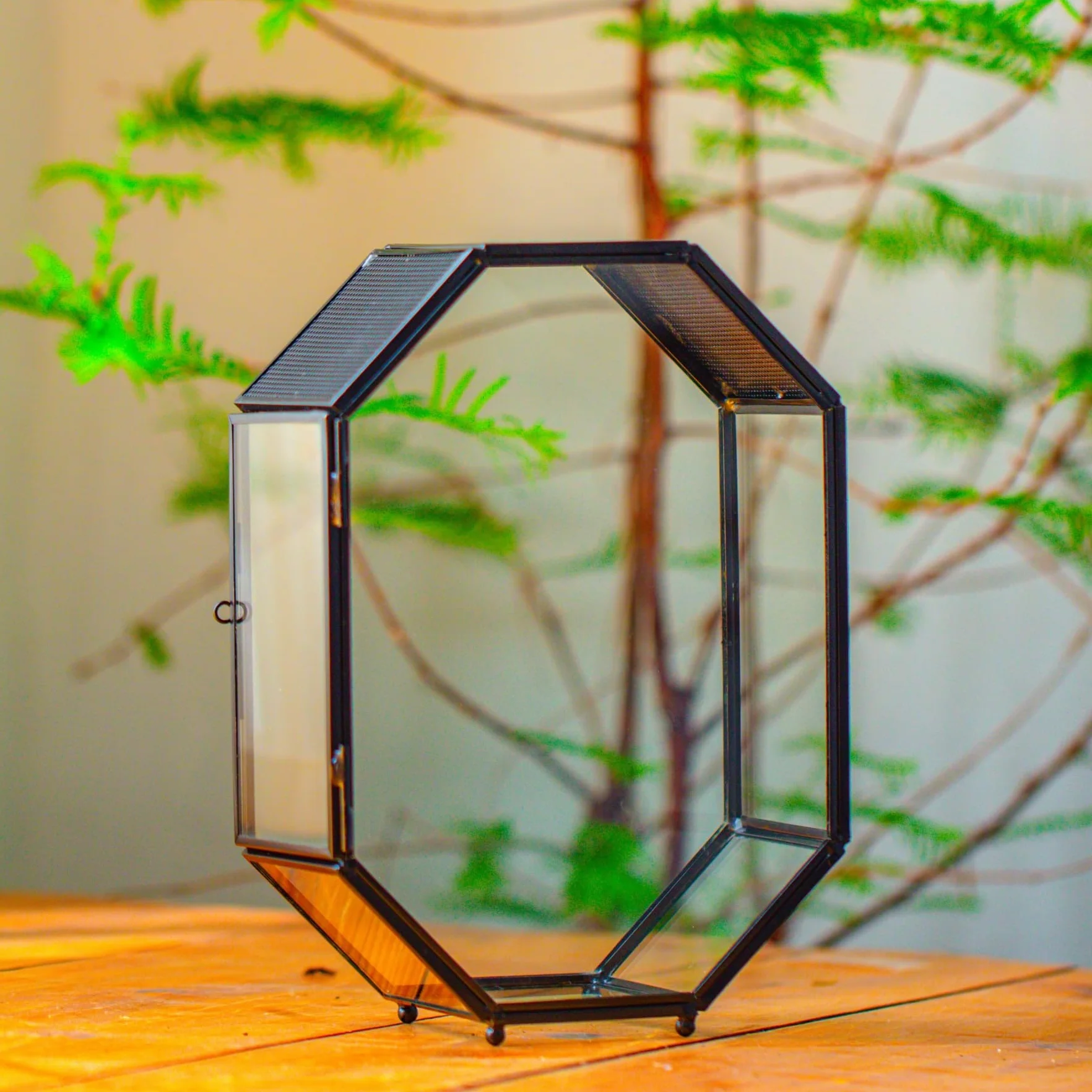 Terrarium en Verre Octogonale 15,8x8x22,1 cm avec Maille et Porte pour Araignées Insectes Petites Plantes