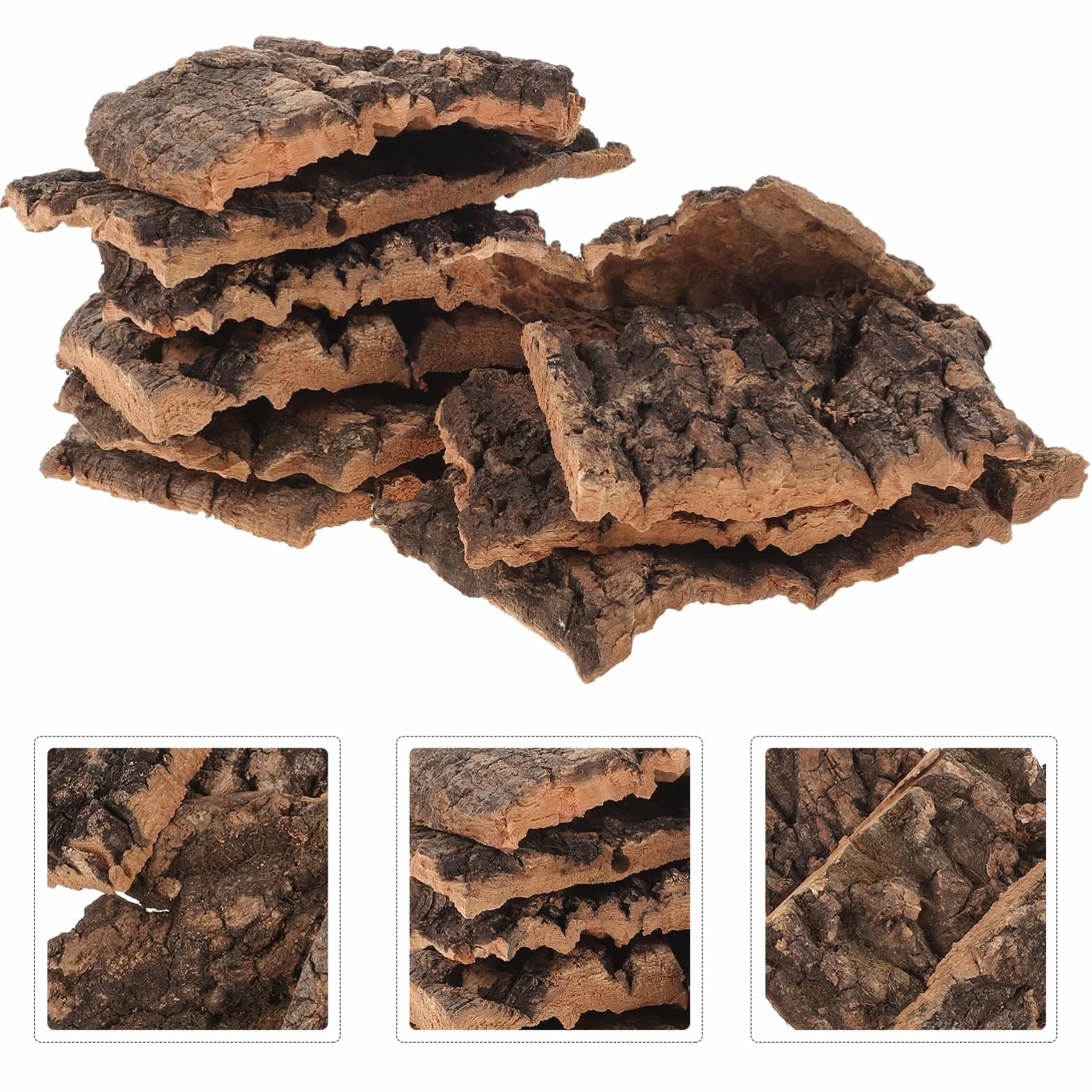 Lot de 10 Plateformes en Écorce de Bois pour Reptiles Lézards Tortues Décor Naturel Terrarium