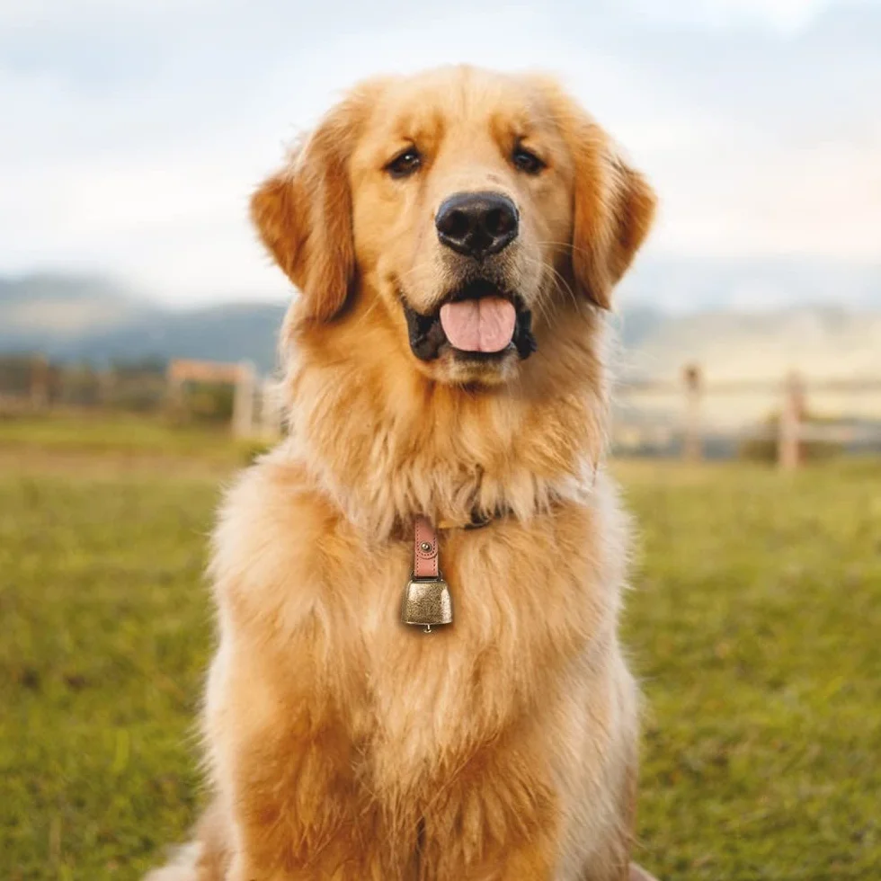 Clochettes de collier pour chien et chat en métal cuivre avec sangle cuir DONGKER