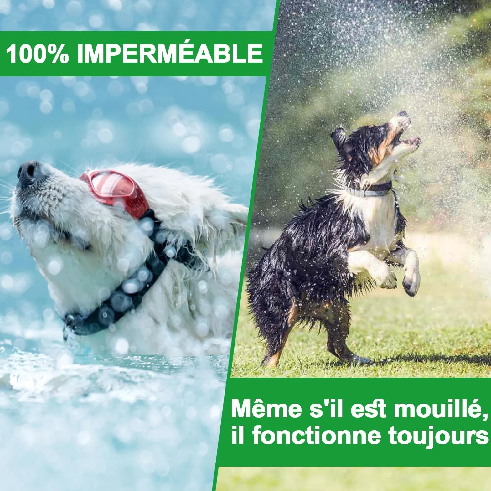 Collier Anti Puces pour Chien 65cm Réglable Étanche 12 Mois Protection