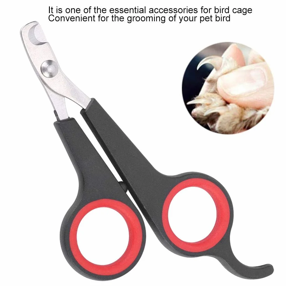 GOTOTOP Coupe-ongles pour animaux de compagnie petits animaux oiseaux perroquets chatons lapins outil de toilettage