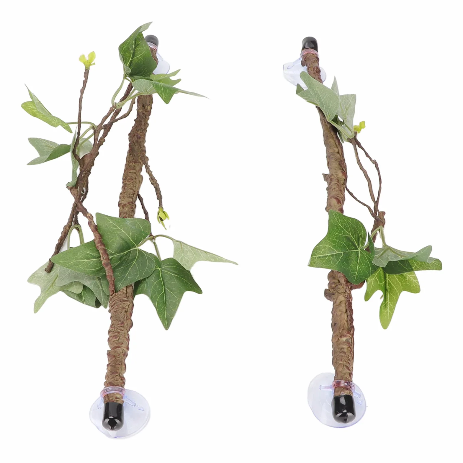 Branches de Reptiles, Vignes de Reptiles avec Ventouses, Branche d'angle de Reptile, Décoration de Plantes de Terrarium, Plantes de Reptiles pour Amphibiens, Lézards, Serpent,
