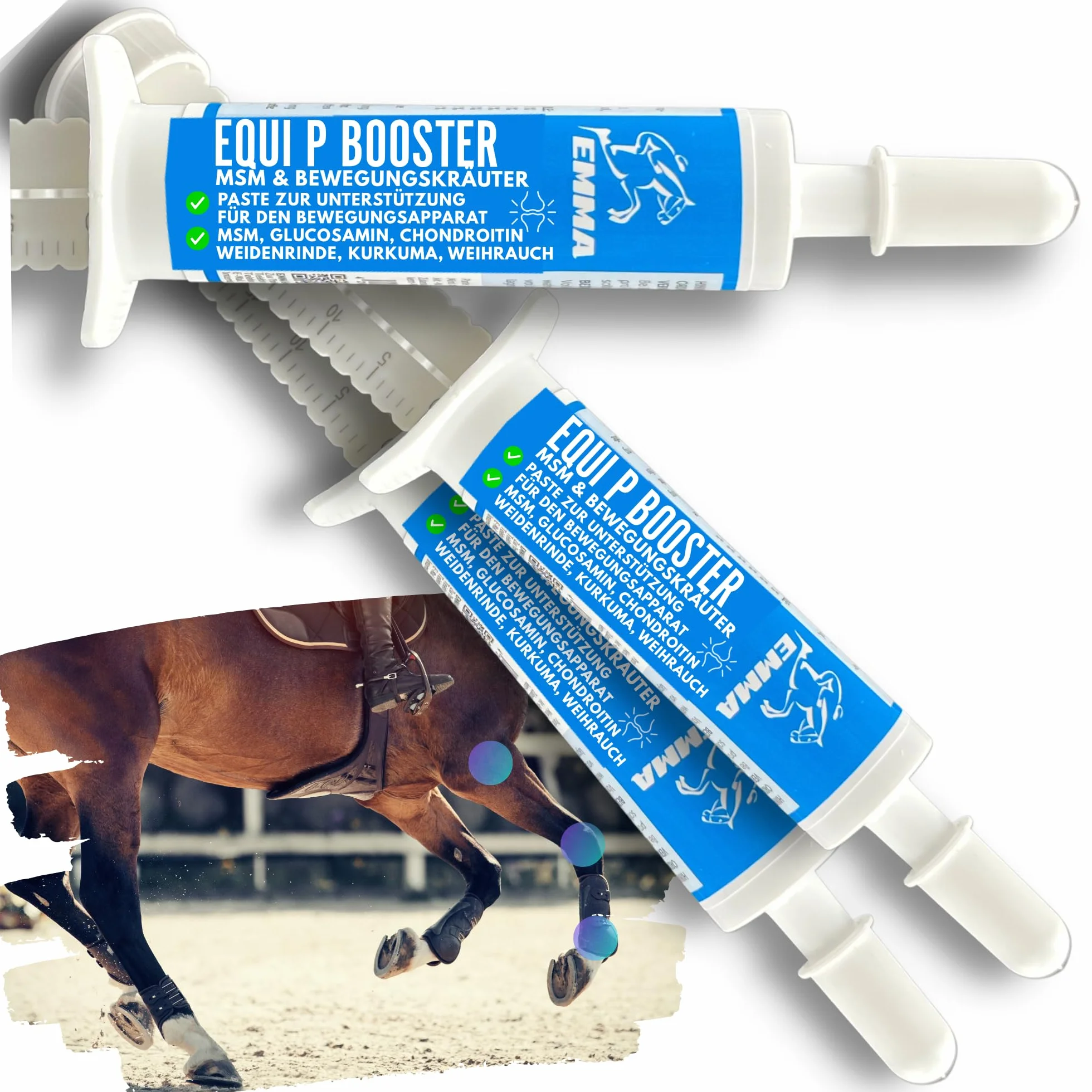 MSM Cheval Pâte vitaminée Plus glucosamine chondroïtine Haute Dose Vitamine C levure de bière Appareil locomoteur articulations 3pc