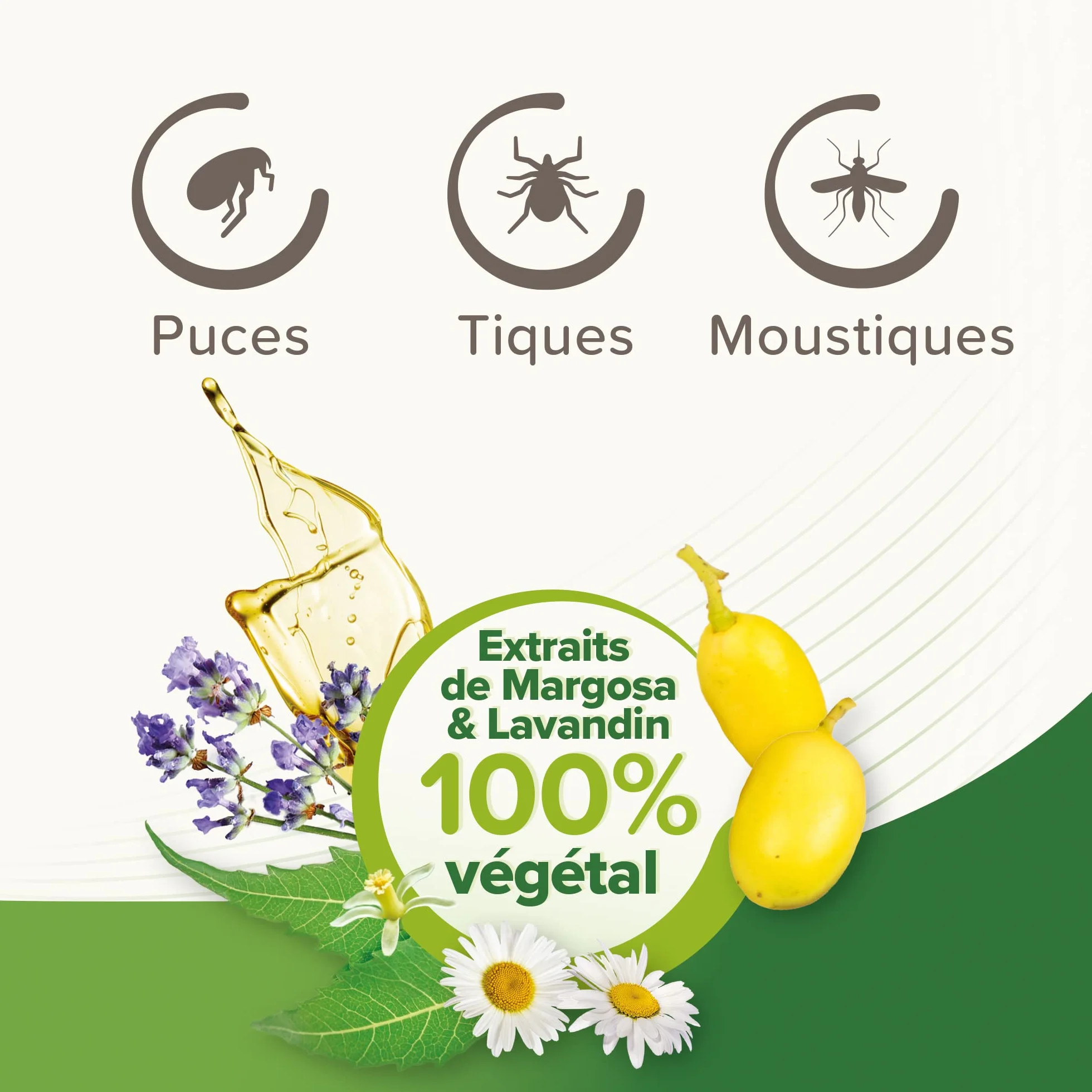 BEAPHAR – VETOPURE – Collier répulsif antiparasitaire pour Chien et Chiot – Aux extraits de Margosa & de Lavandin – Contre Les puces; tiques et moustiques – Protection 3 Mois – Collier Beige de 60cm