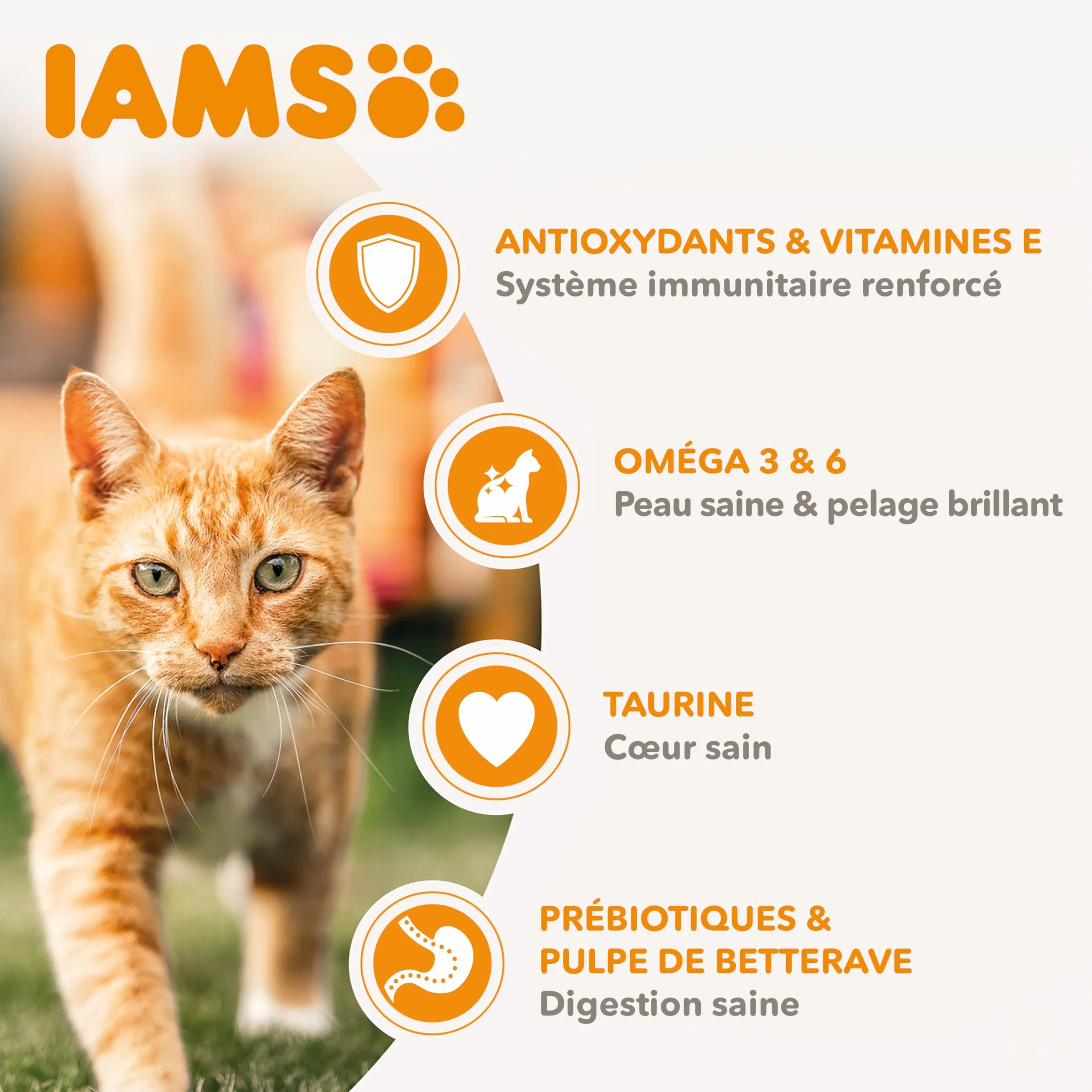 IAMS Vitality Croquettes Premium Chats Adultes Agneau 1,5 kg Sac Refermable