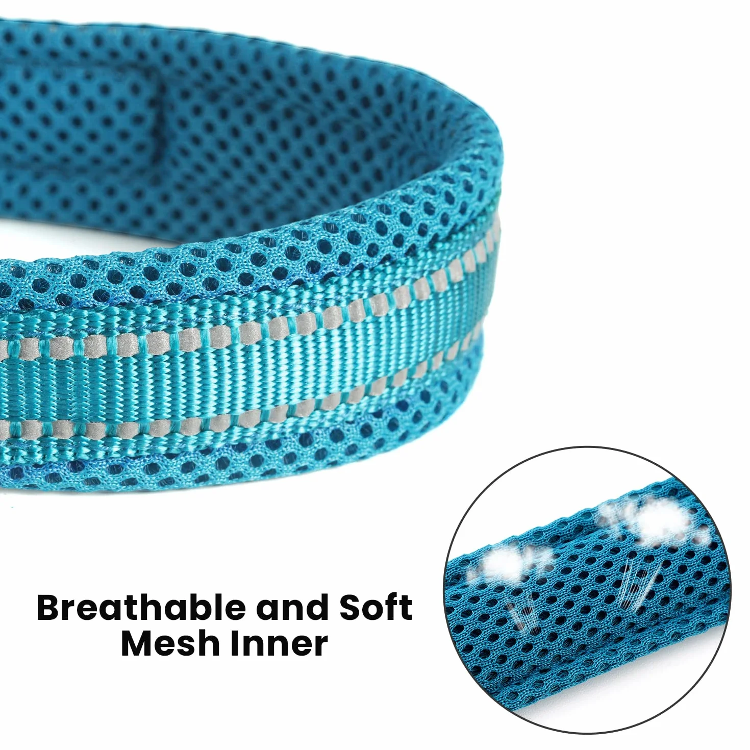 PETTOM Laisse pour Chien Dressage Grand Moyen Petit Poignée Rembourrée Réfléchissant Bleu 2m