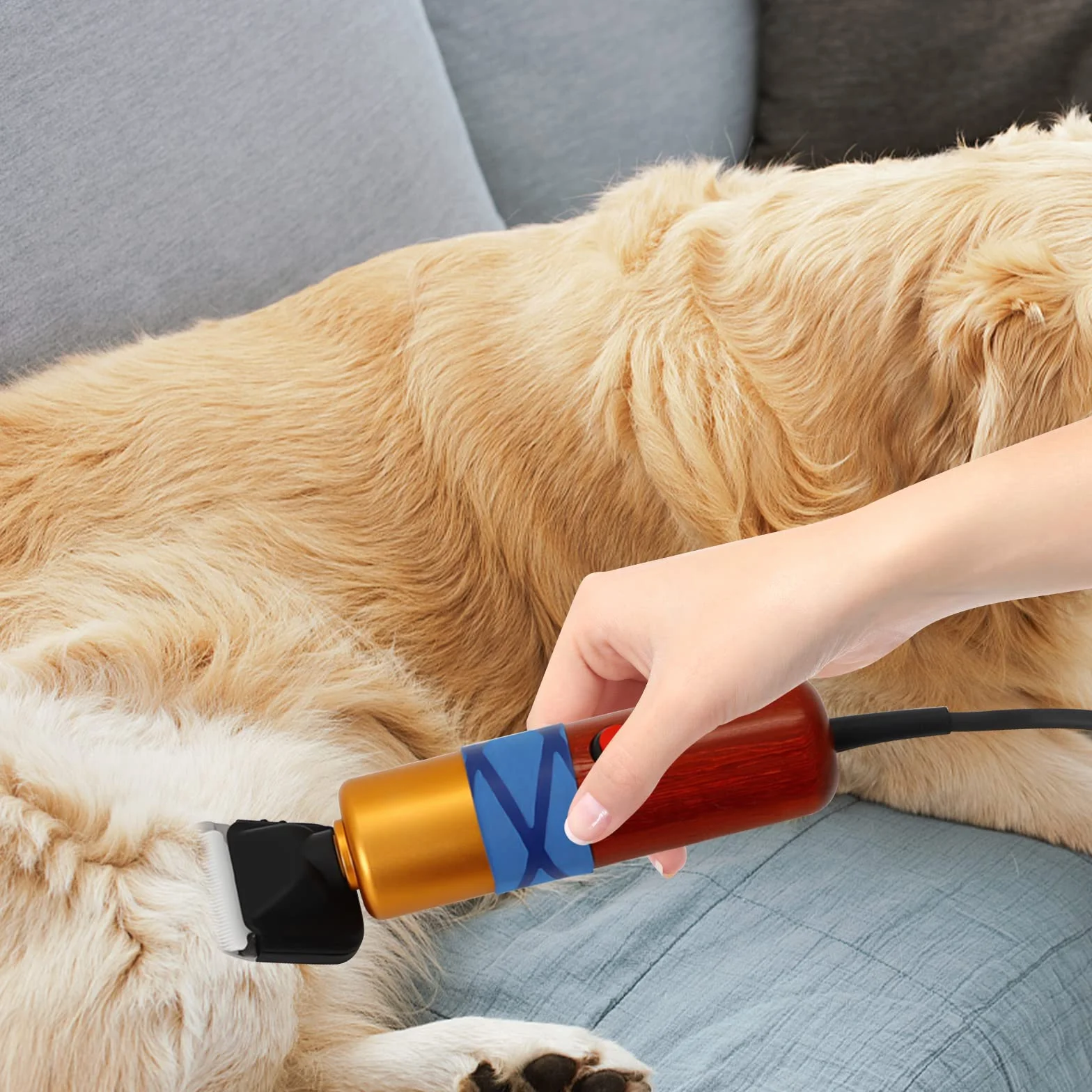 Tondeuse électrique 200 W pour mouton, animaux de compagnie, avec mallette