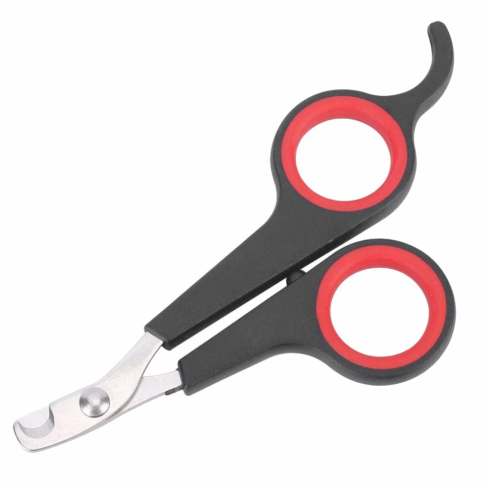Coupe-Ongles pour Oiseaux, Outil de Toilettage pour Petits Animaux, Ciseaux Noire et Rouge