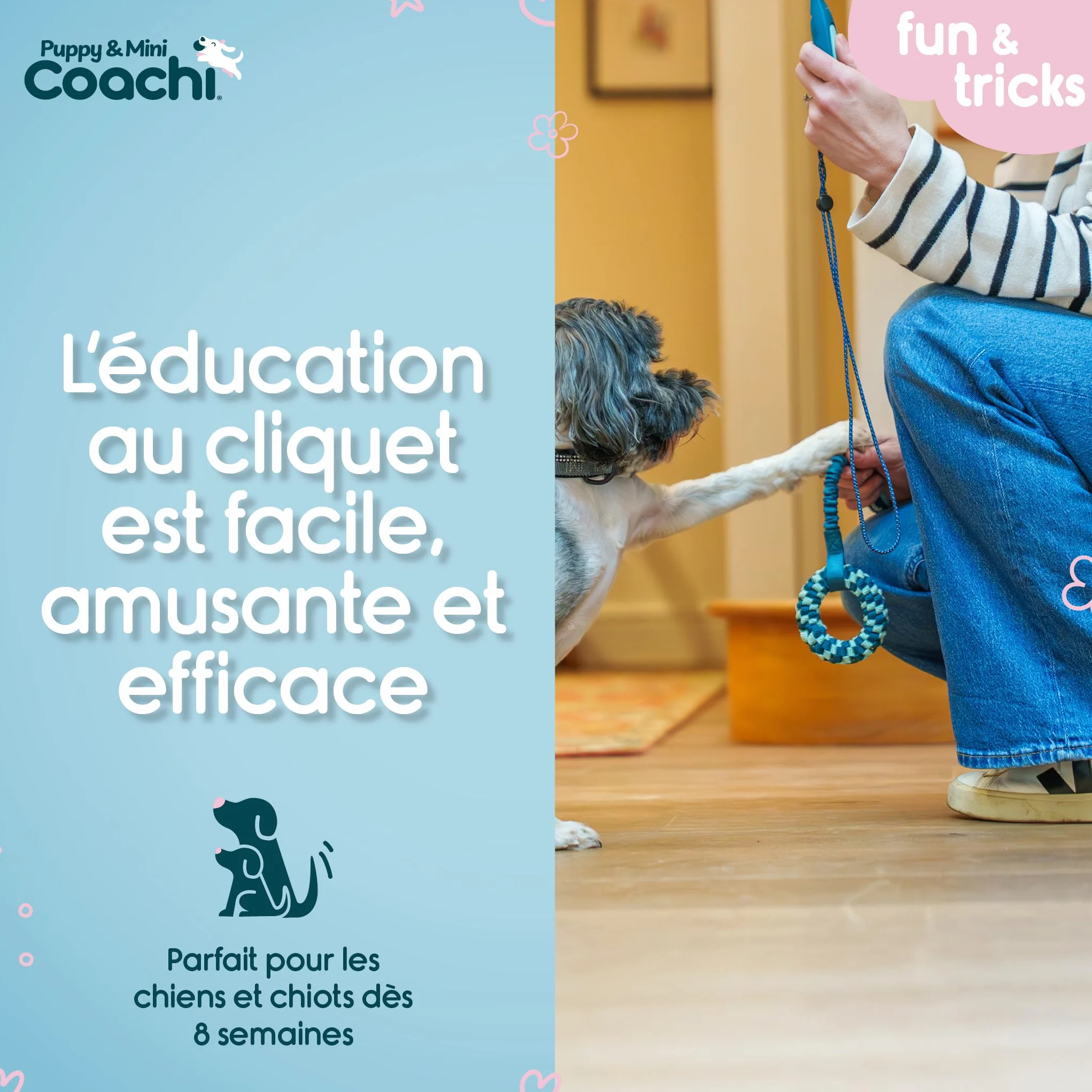 Sifflet et clicker combinés 2-en-1 pour chien, éducation rappel et récompense, cordon réglable réfléchissant