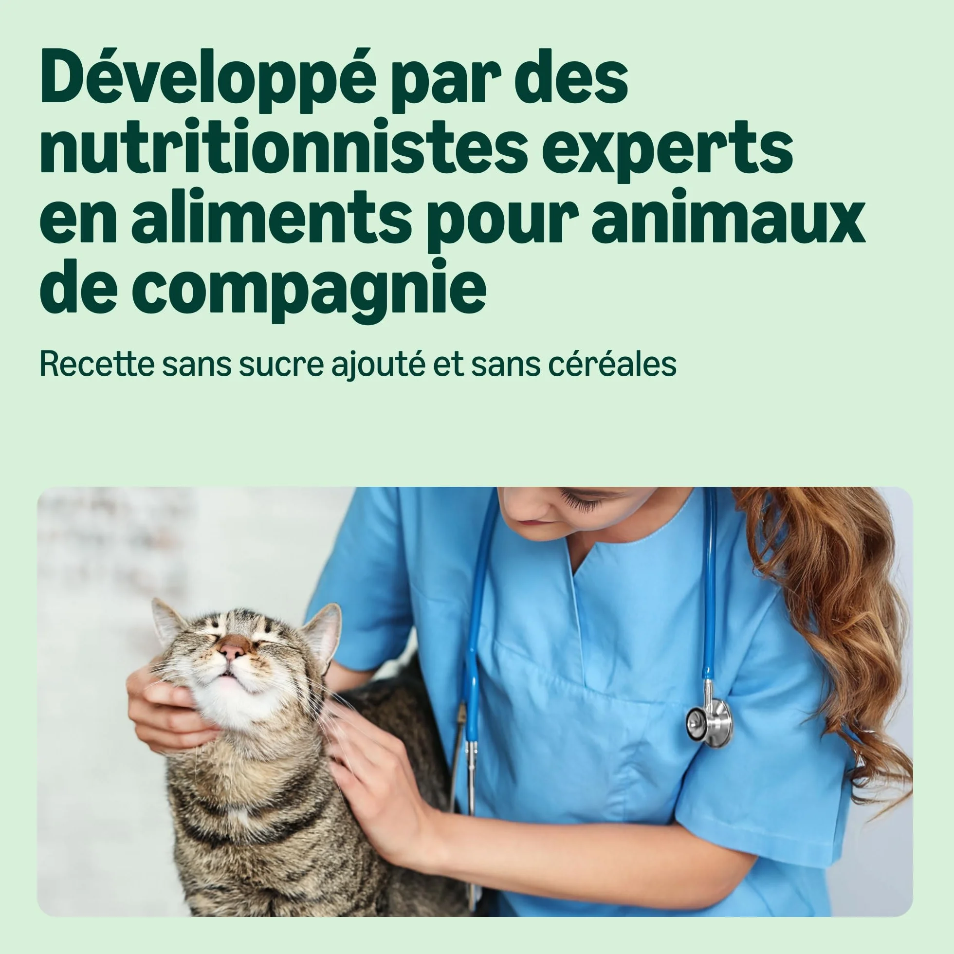 Amazon Nourriture humide pour chat sans céréales, morceaux de saumon ASC en gelée, 6 x 405 g