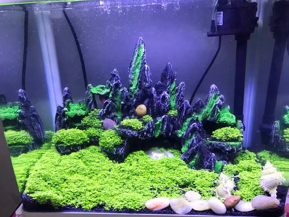 Grande décoration d’Aquarium en Rocher avec Grotte PakyKai