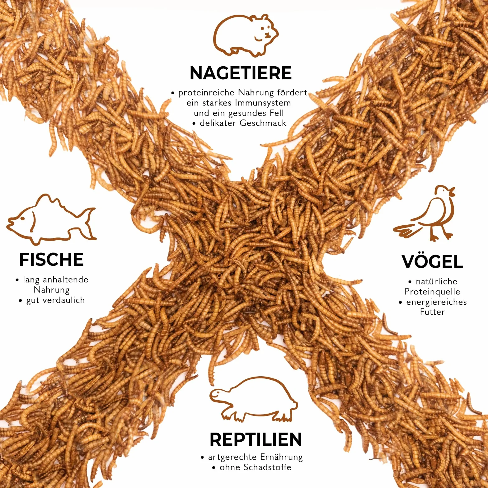 Mehlwürmer getrocknet 2kg proteinreicher Snack für Wildvögel Fische Reptilien Nager