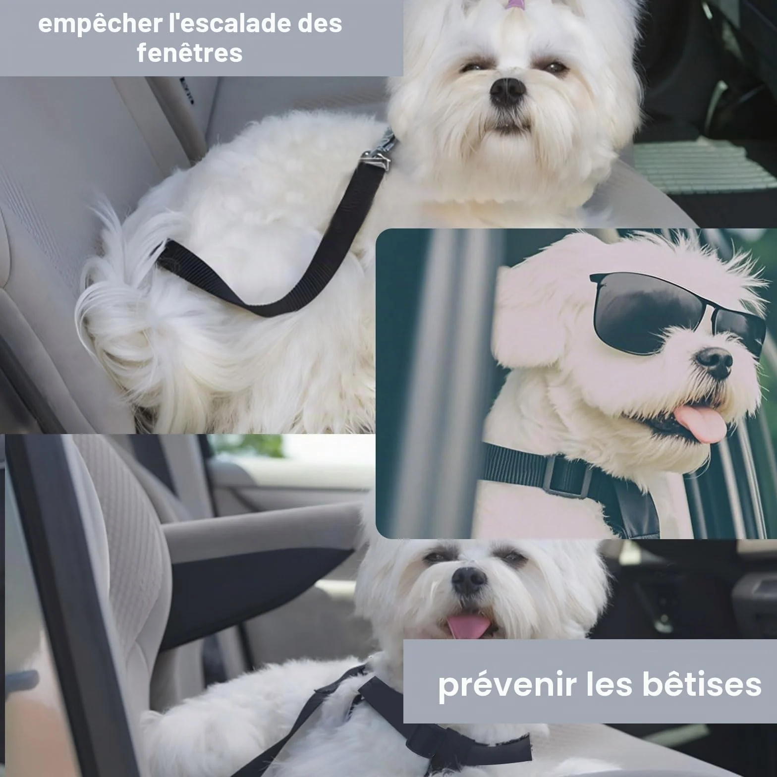2 Pièces Harnais Voiture Chien Bleu et Noir Ceinture Chien 42-70cm Laisse Protégez-Vous et Votre Animal de Compagnie