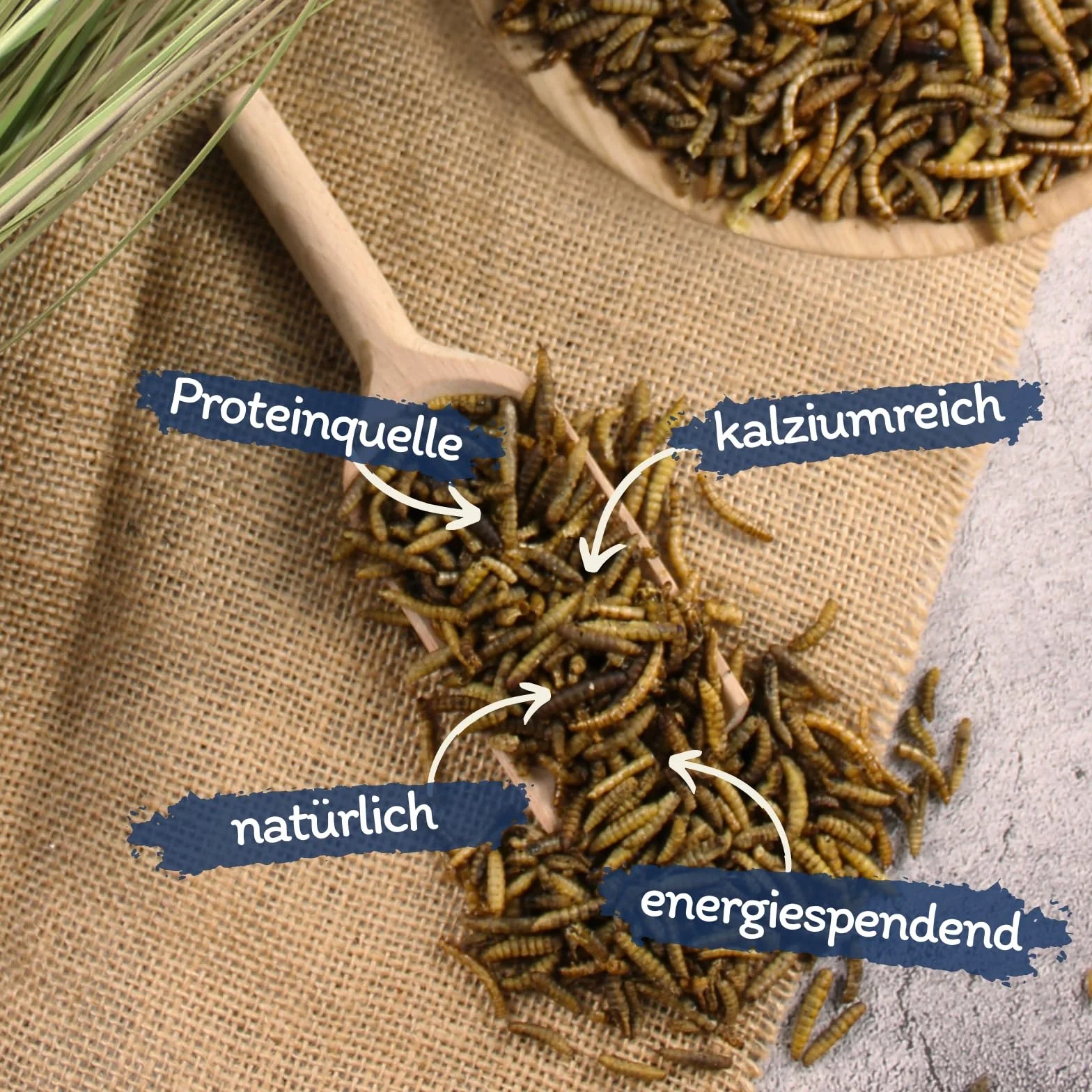 Lyra Pet® 10 kg vers de farine Mélange de larves de mouches soldats séchées Riche en protéines Nourriture naturelle pour oiseaux rongeurs