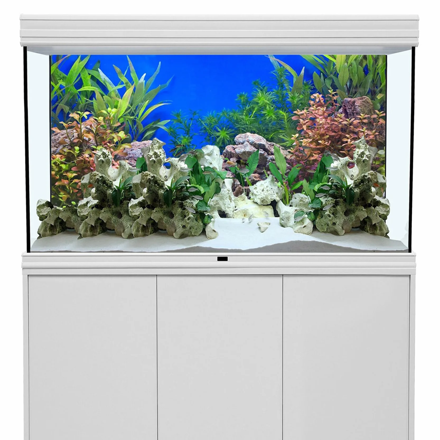 Plante Aquatique Fond Aquarium Vinyle 91x50cm