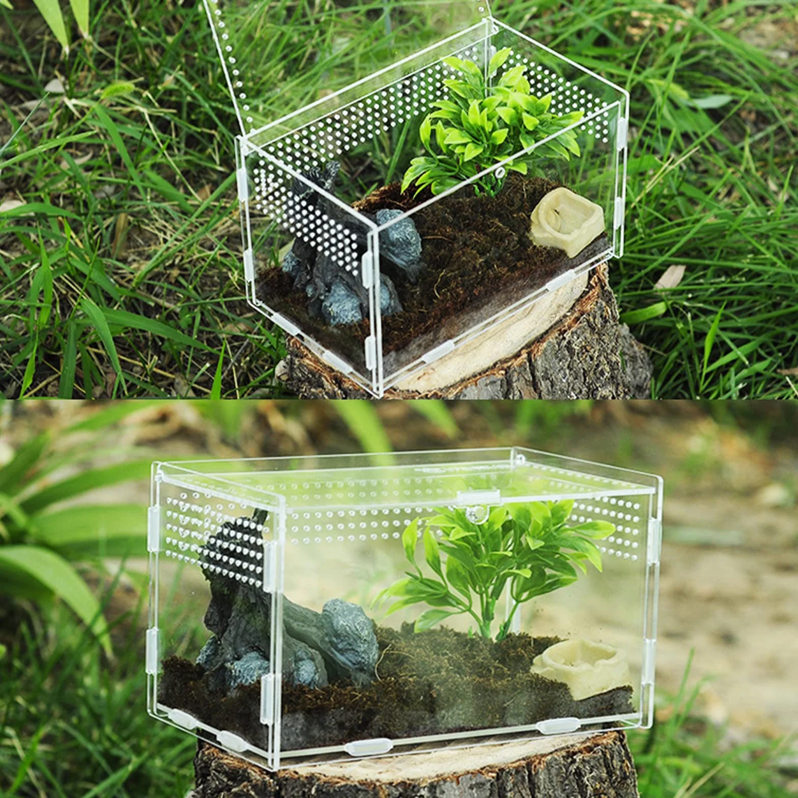 Nizirioo Boîte d'alimentation d'insectes 20cmx12cmx12cm Terrarium Reptile Transparent Portable