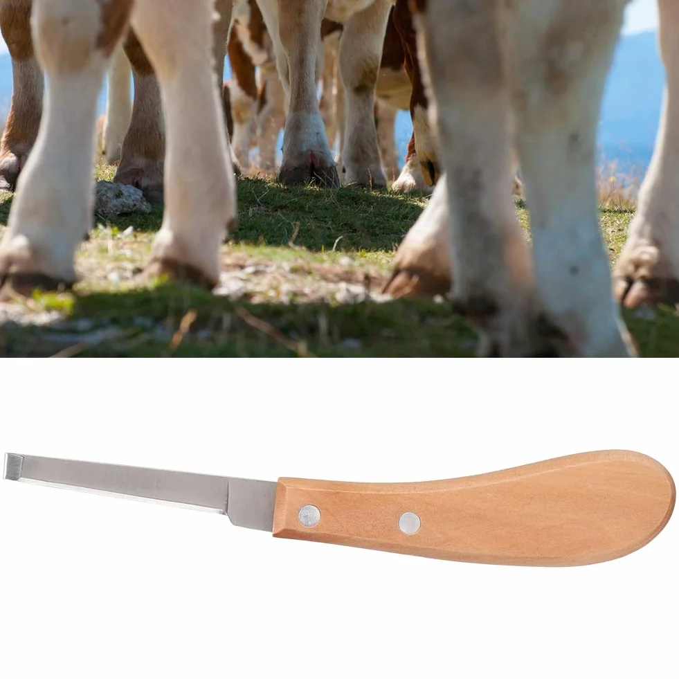 Couteau à Sabot Pointu, Outils de Maréchal-ferrant à Gauche Ou à Droite, Outil de de Couteau à Sabot en Acier Au Carbone pour L'utilisation de Chevaux de Bétail, 8,5 Pouces (Main Droite Droite)