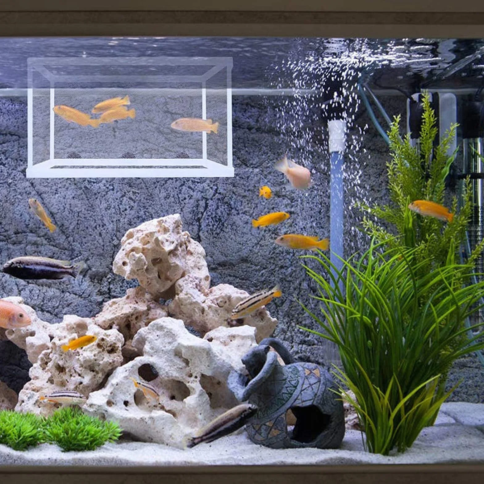 2 Pièces Boîte de Frai, Filet Isolant pour Aquariums, Incubateur de Poissons d'aquarium, Convient pour Les Aquariums, Isoler Les Semis et Soutenir l'incubation et la Reproduction (Blanc)
