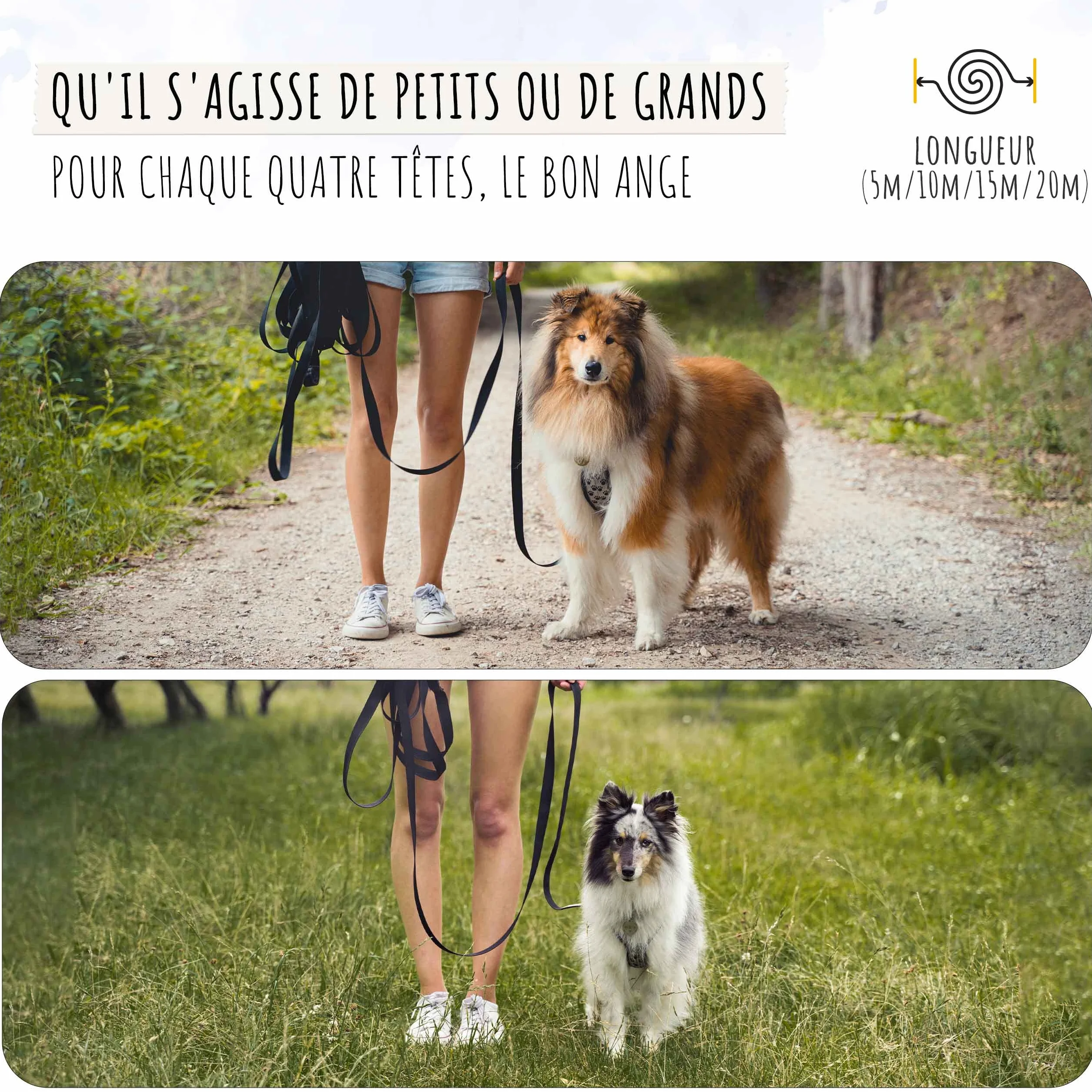 Rudelkönig Longe pour Chien 20m - Robuste et résistante aux intempéries - Longe avec poignée rembourrée - Laisse de Dressage pour Chien Pratique et Confortable
