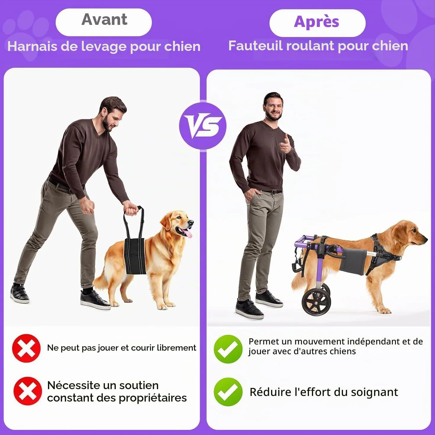 Fauteuil roulant pour chien pour pattes arrière - Fauteuil roulant pour chien
