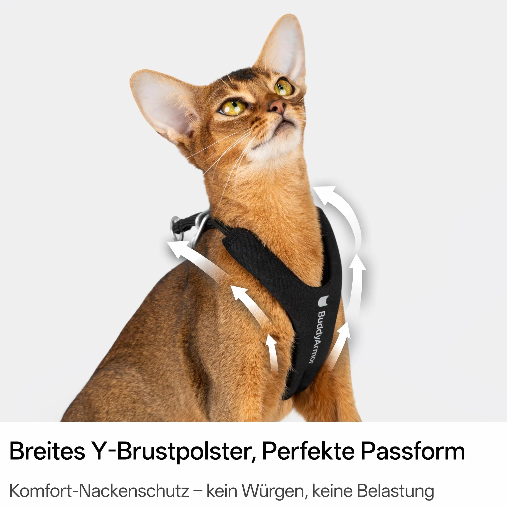 Harnais pour chat anti-évasion en forme de Y avec laisse réglable anti-étouffement rembourré, jusqu'à 12 kg, noir, L