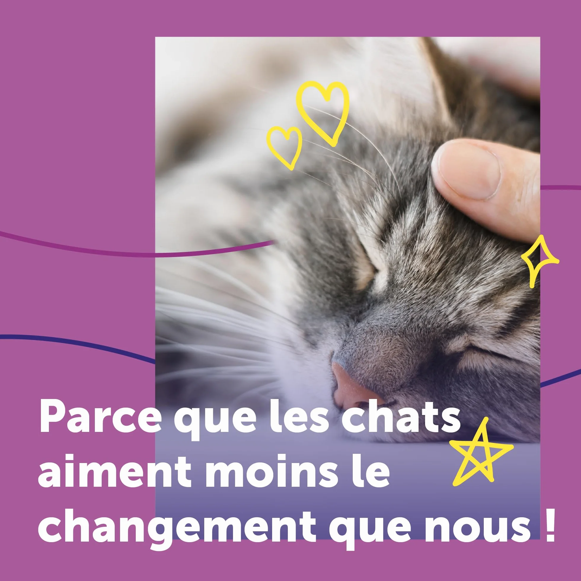 FELIWAY Help! Diffuseur Recharge phéromones apaisantes Chats 7 Jours Calmer Stress ponctuel Recommandé vétérinaires