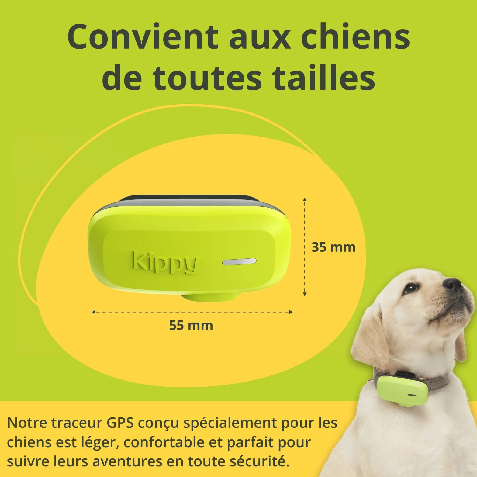 Kippy GPS pour Chiens Traceur étanche avec Collier, Suivi Activité Santé, GEOFENCE, Vert