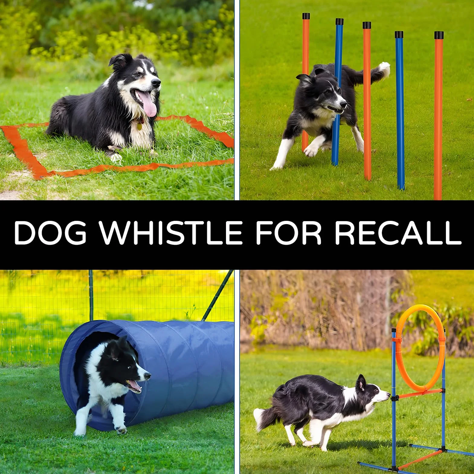 Sifflet Ultrason Chien Anti Aboiement Réglable avec Lanière, 2 Pièces