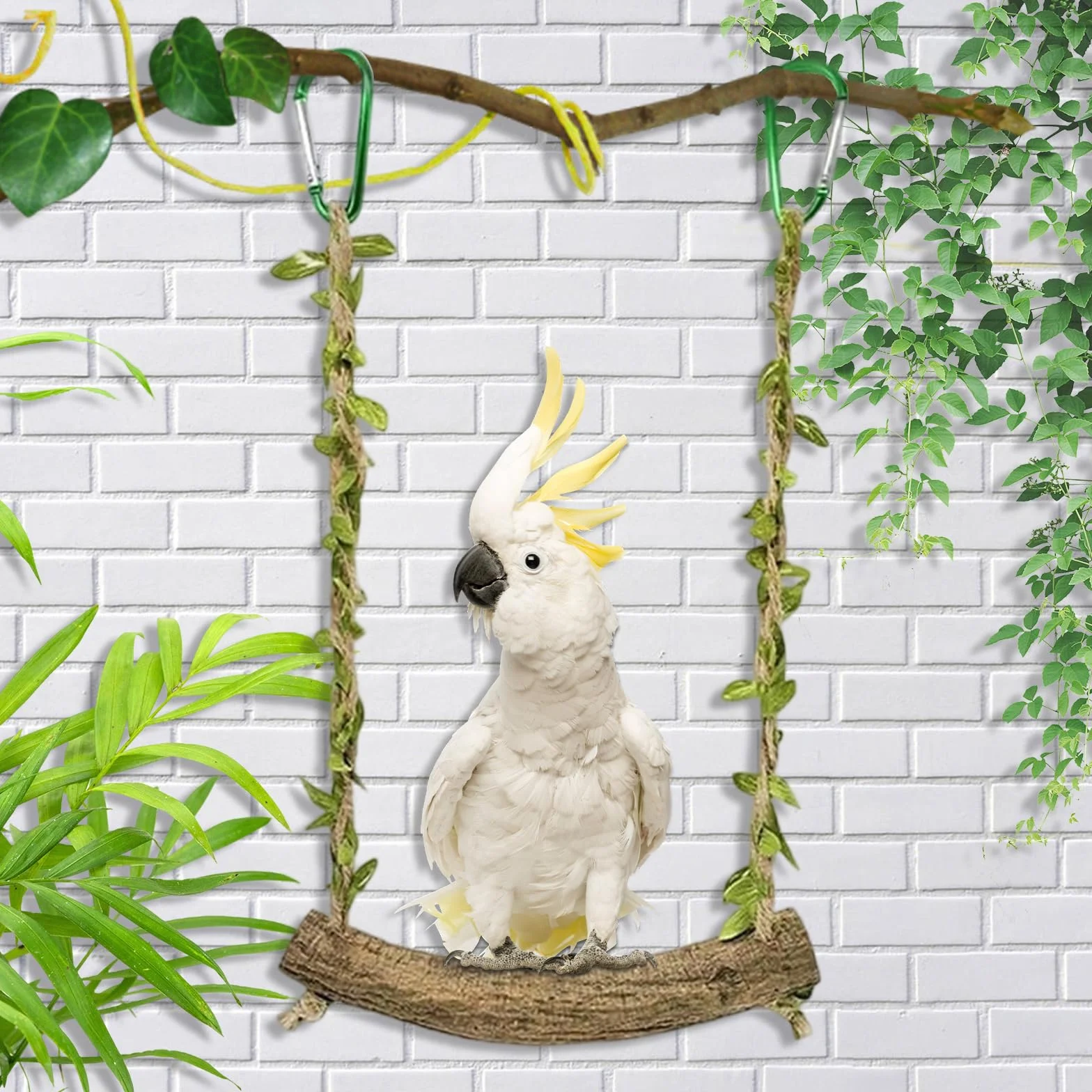 Perchoir Perroquet Balançoire Oiseaux Jouet Perruche Accessoires Cage Oiseaux Petite Moyenne Taille 2 Pièces