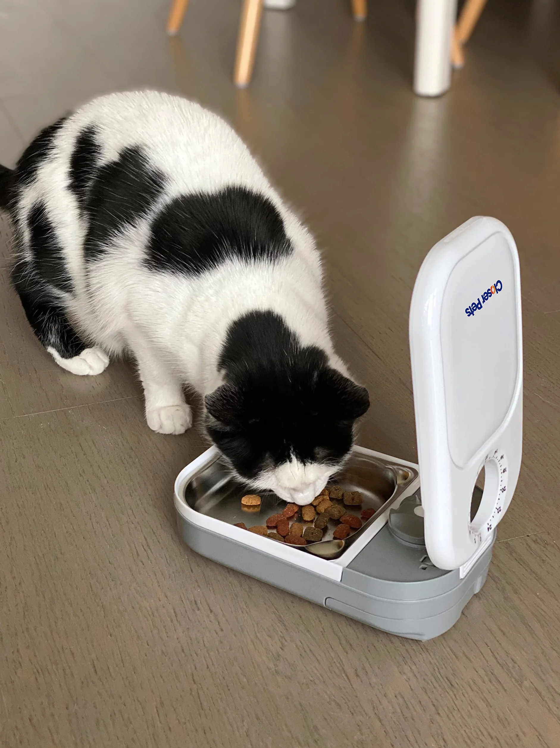 Closer Pets C100 Mangeoire Automatique pour Chats et Petits Chiens avec Insert en Acier Inoxydable