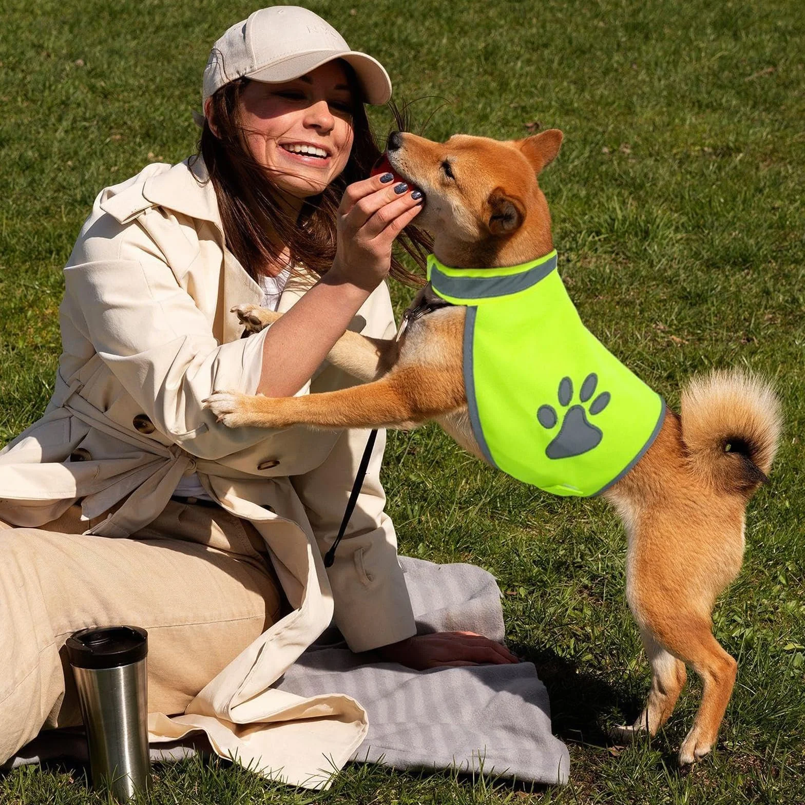 Haute Visibilité Veste Réfléchissante Fluorescente Gilet Chien Taille L pour Nuit Extérieur