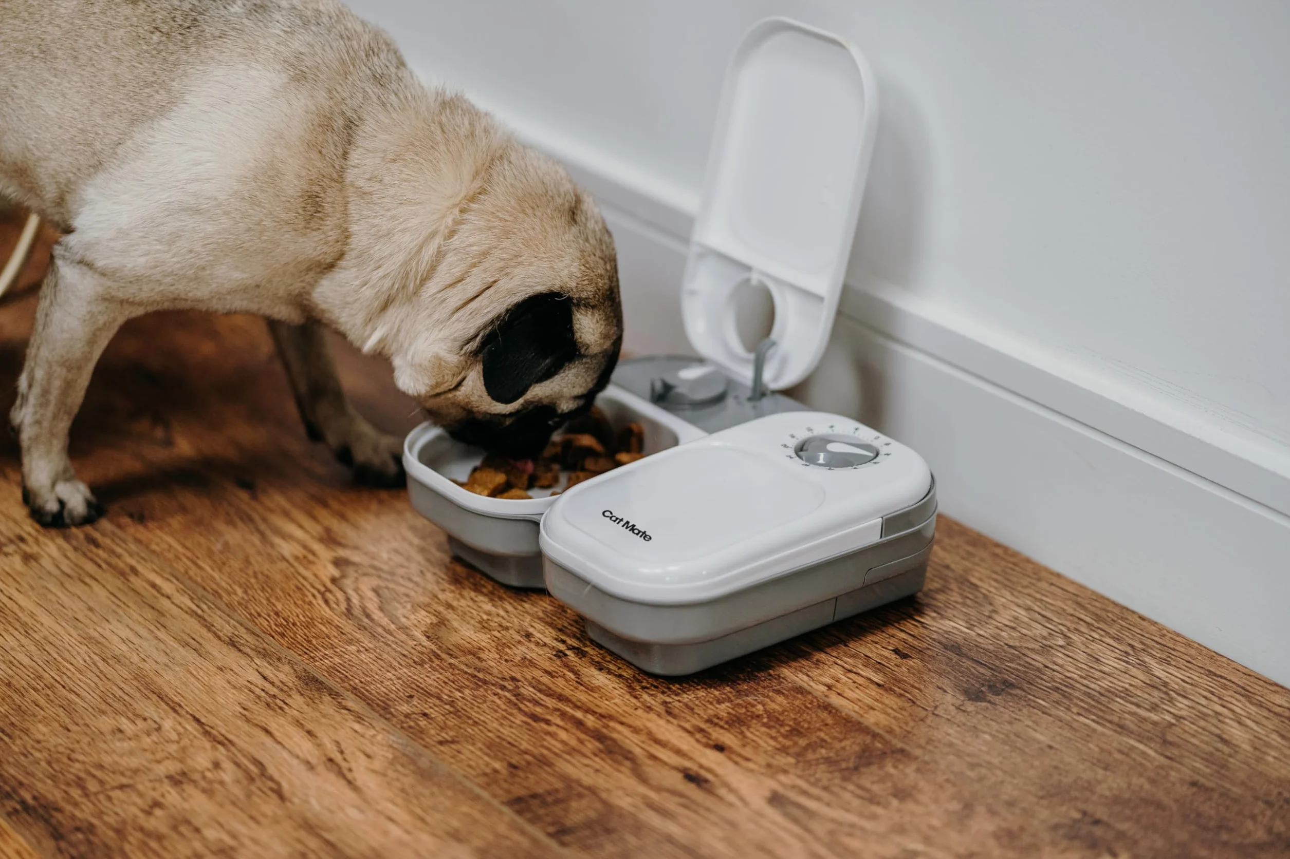 Kerbl Cat Mate Distributeur Automatique de Nourriture Programmable 1-3 Repas