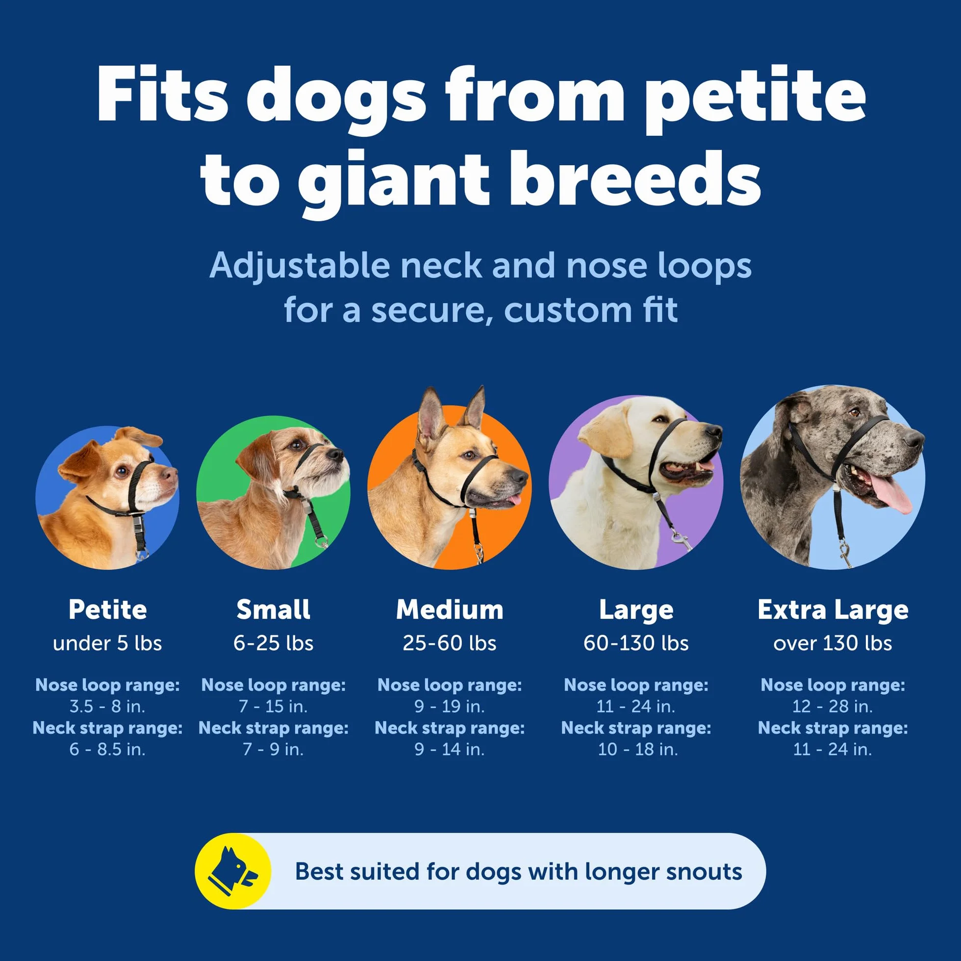 PetSafe Gentle Leader anti-traction pour chien Taille