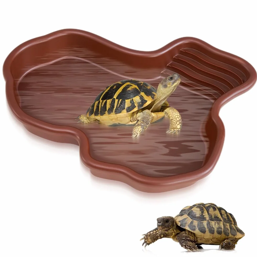 Bassin pour Reptiles, Bol d'Eau pour Tortue, Bol d'Eau et Nourriture pour Reptiles, Bassin de Bain pour Reptiles
