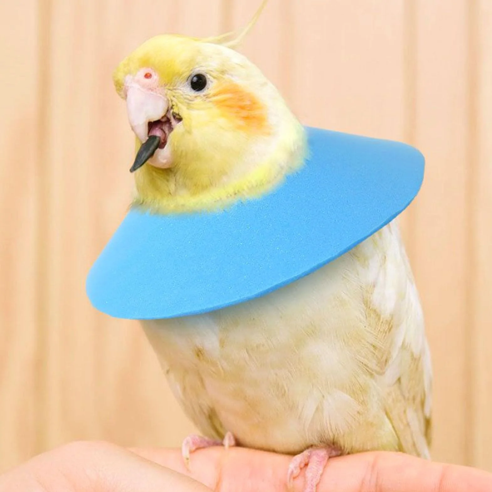 Collier Cervical pour Hamster - Collier Cervical Doux de Récupération pour Chat | Accessoire de Cou Ajustable pour Protection Voyage Prévention Blessures Chat Lapin Perroquet Furet