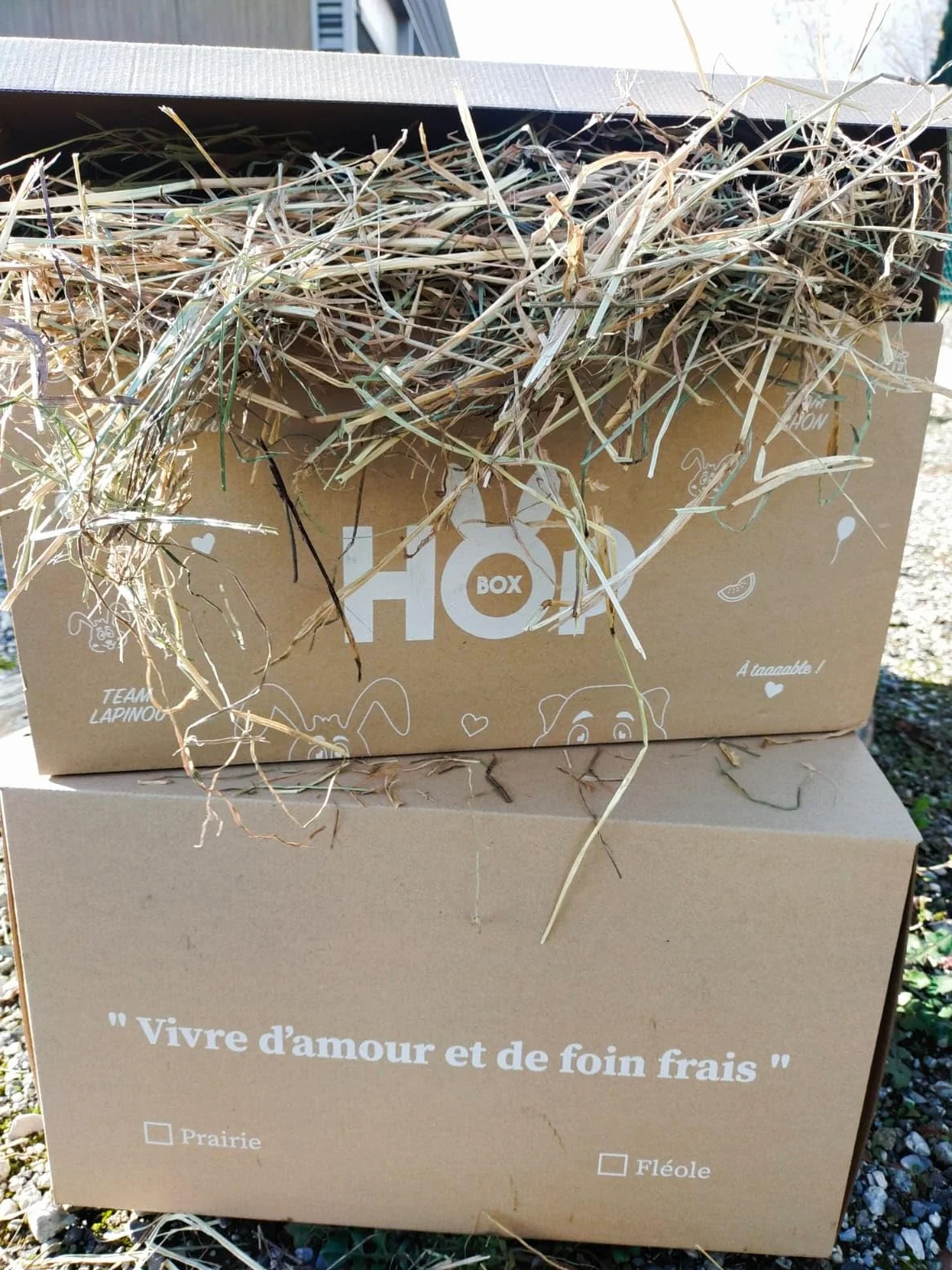 Foin de Prairie Premium pour Lapin & Cochon d’Inde 100% Naturel Longs Brins 5 Kg